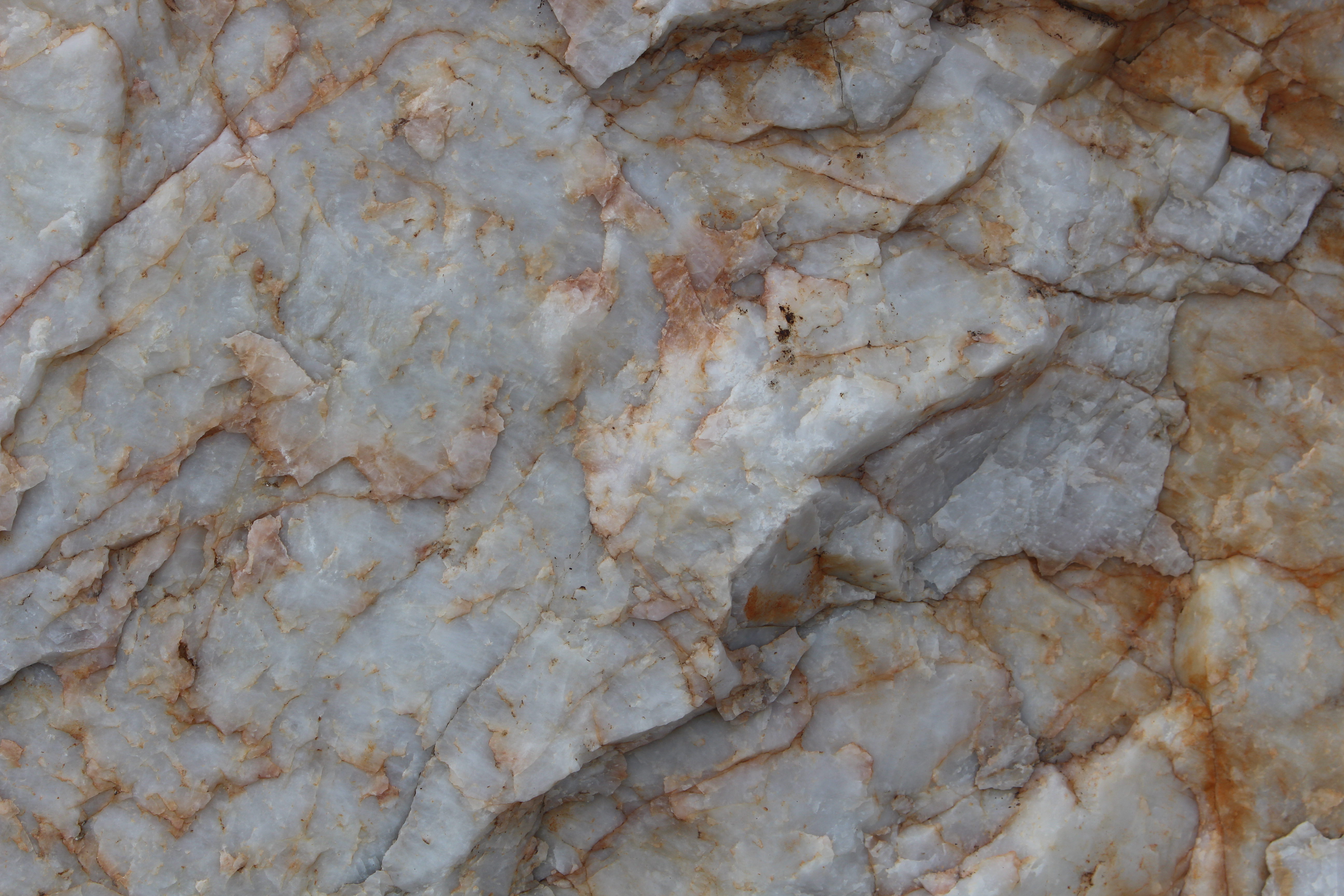 Macro and Micro Picture of the Day 2021-02-02