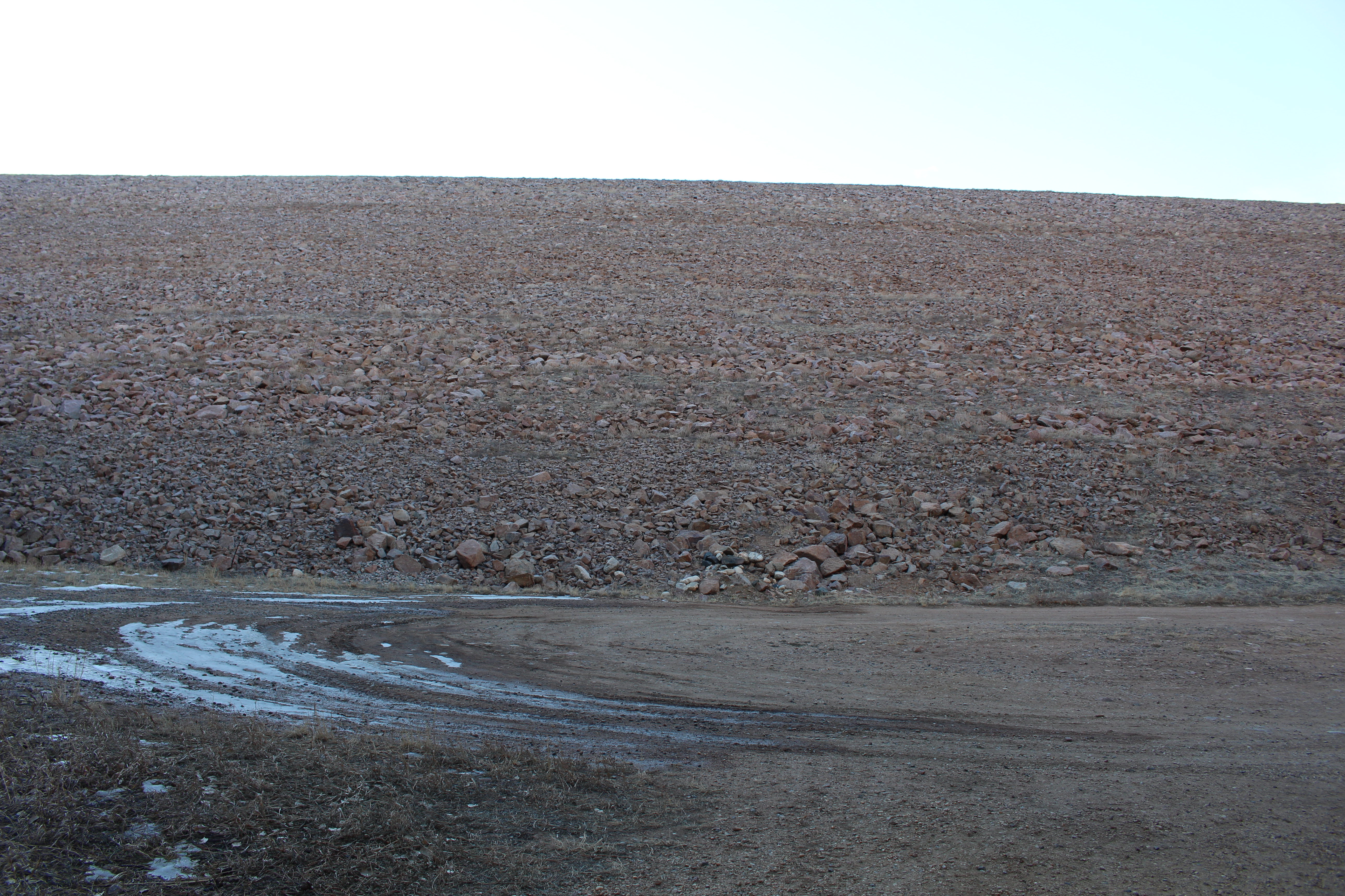 Macro and Micro Picture of the Day 2021-02-03