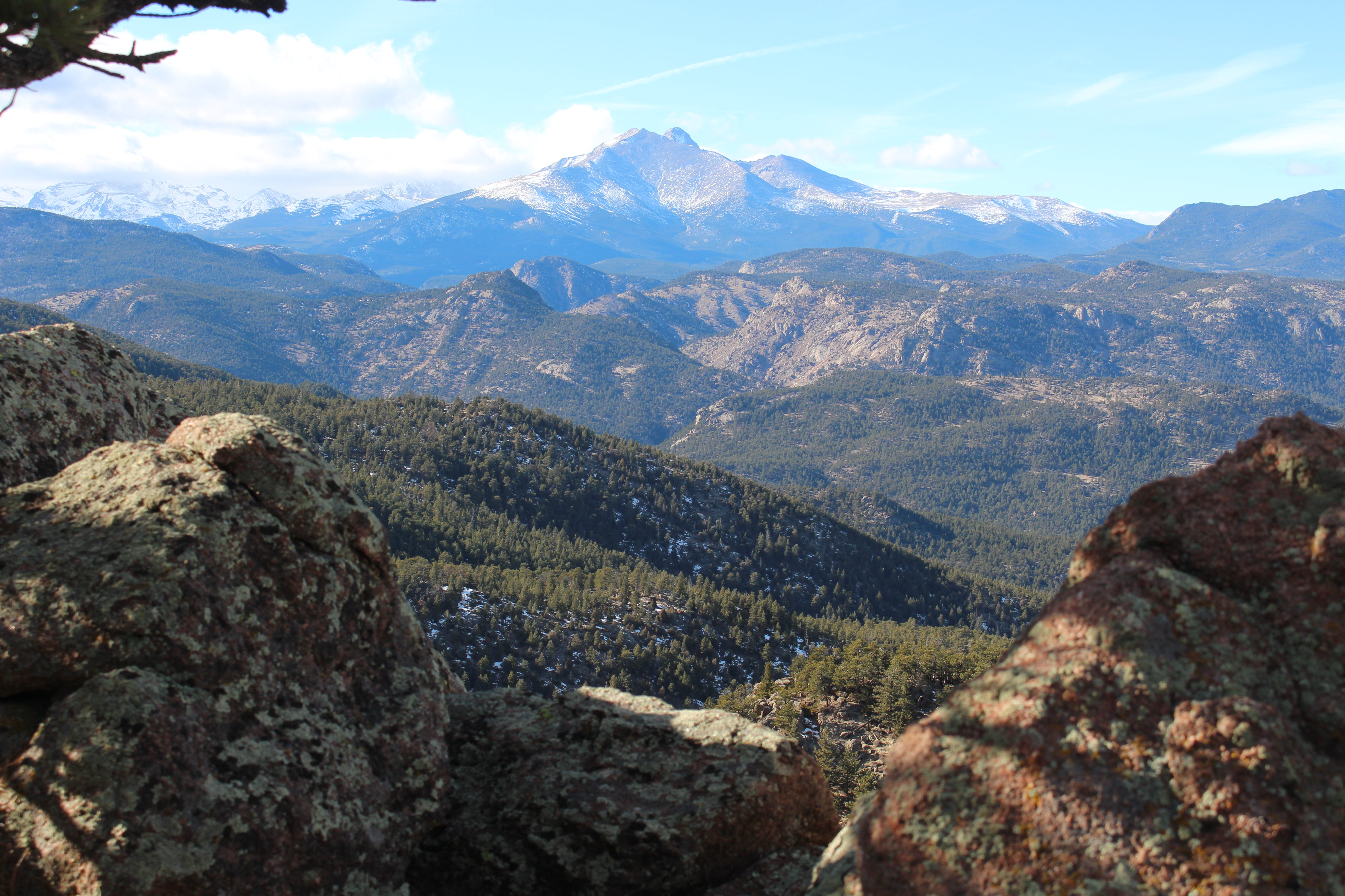 Macro and Micro Picture of the Day 2021-02-05