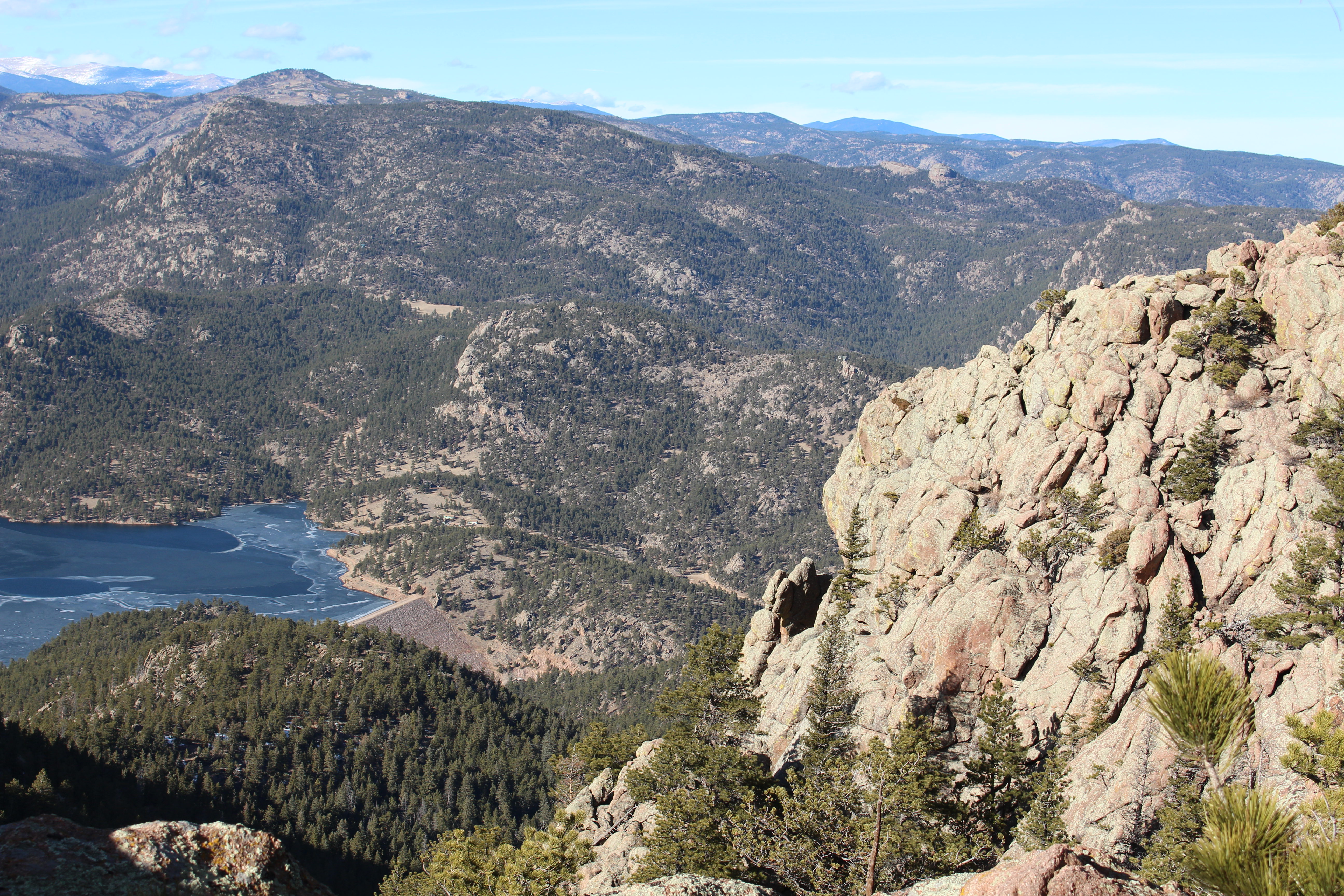 Macro and Micro Picture of the Day 2021-02-06