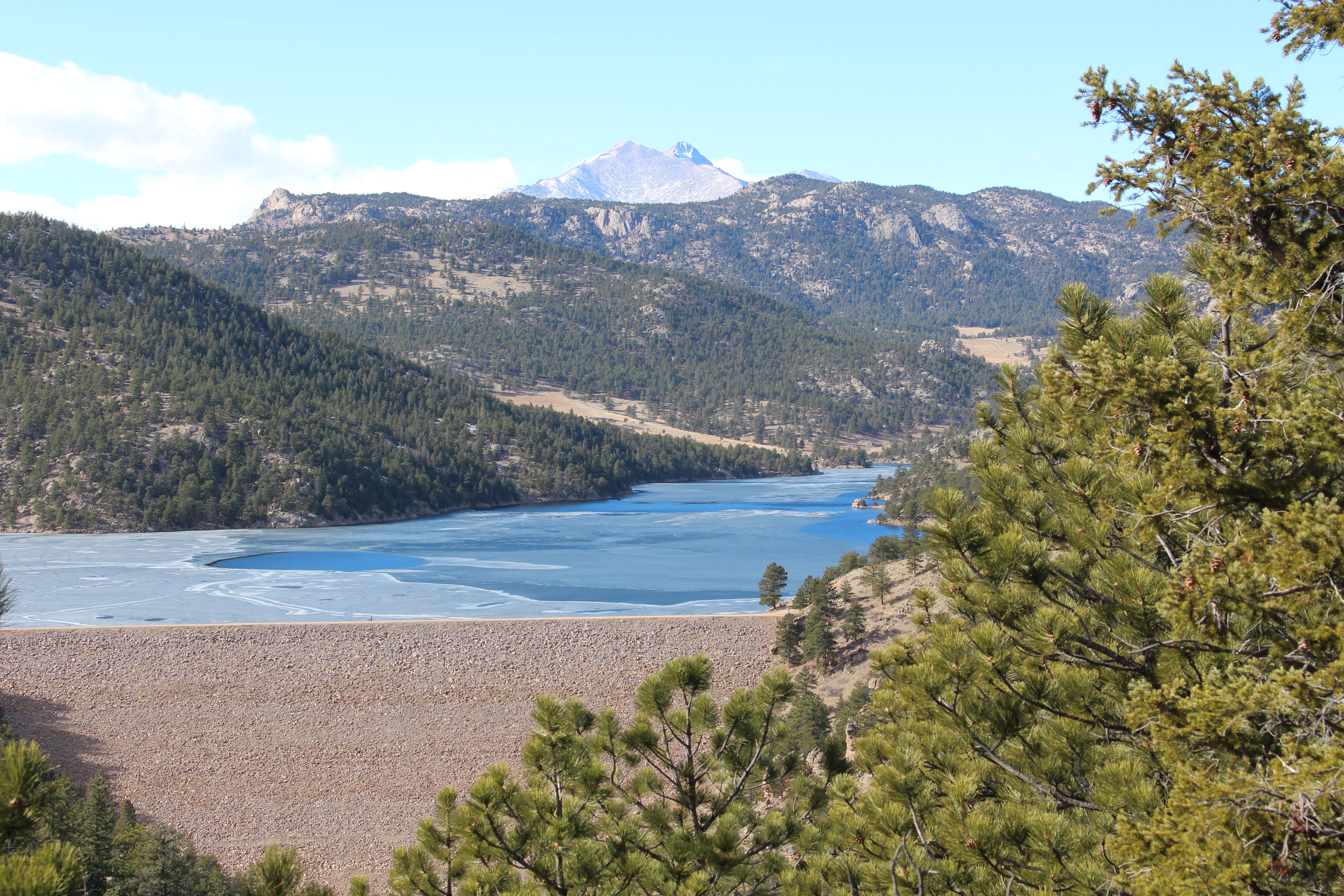 Macro and Micro Picture of the Day 2021-02-08