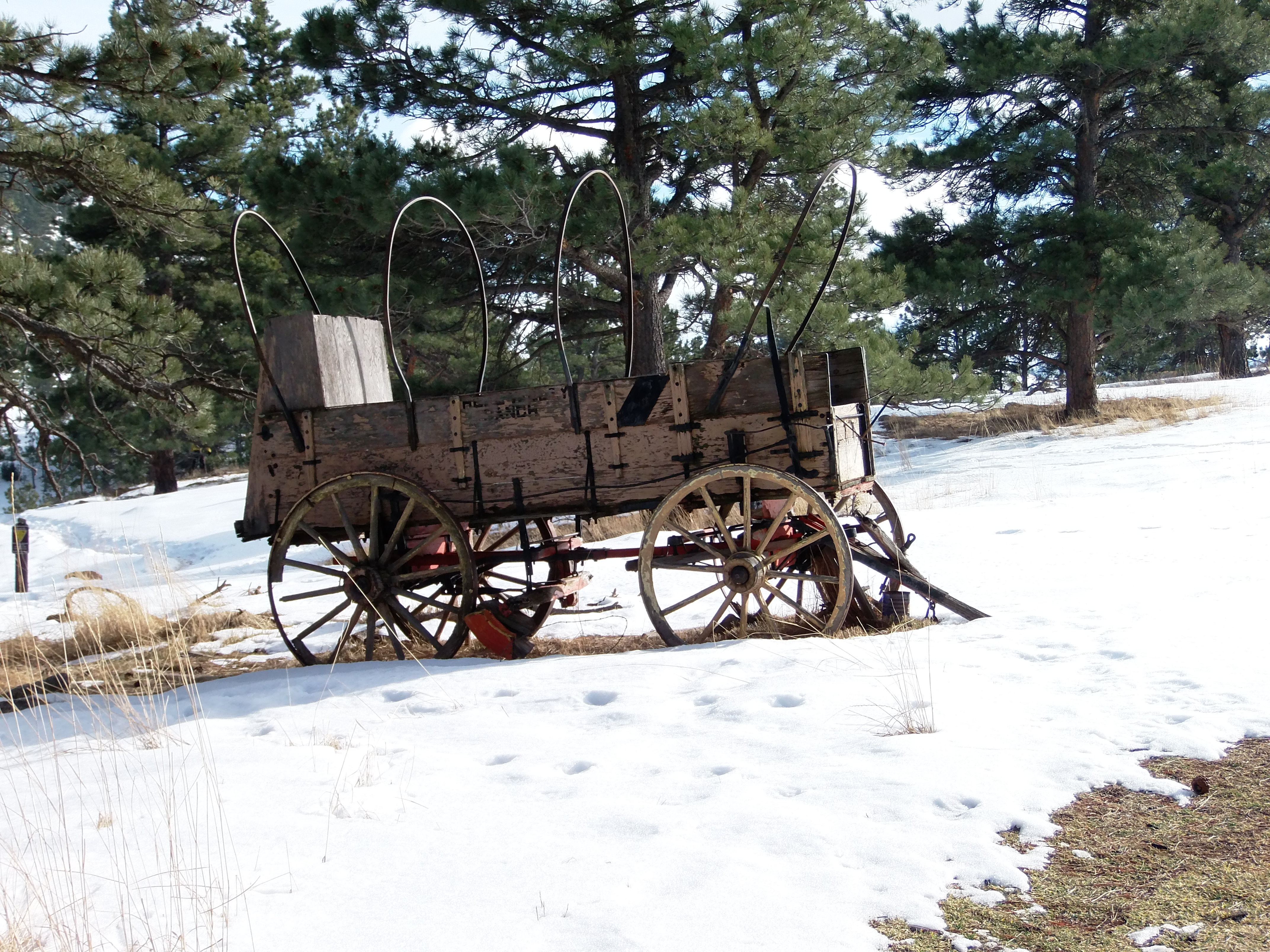 Macro and Micro Picture of the Day 2021-02-10