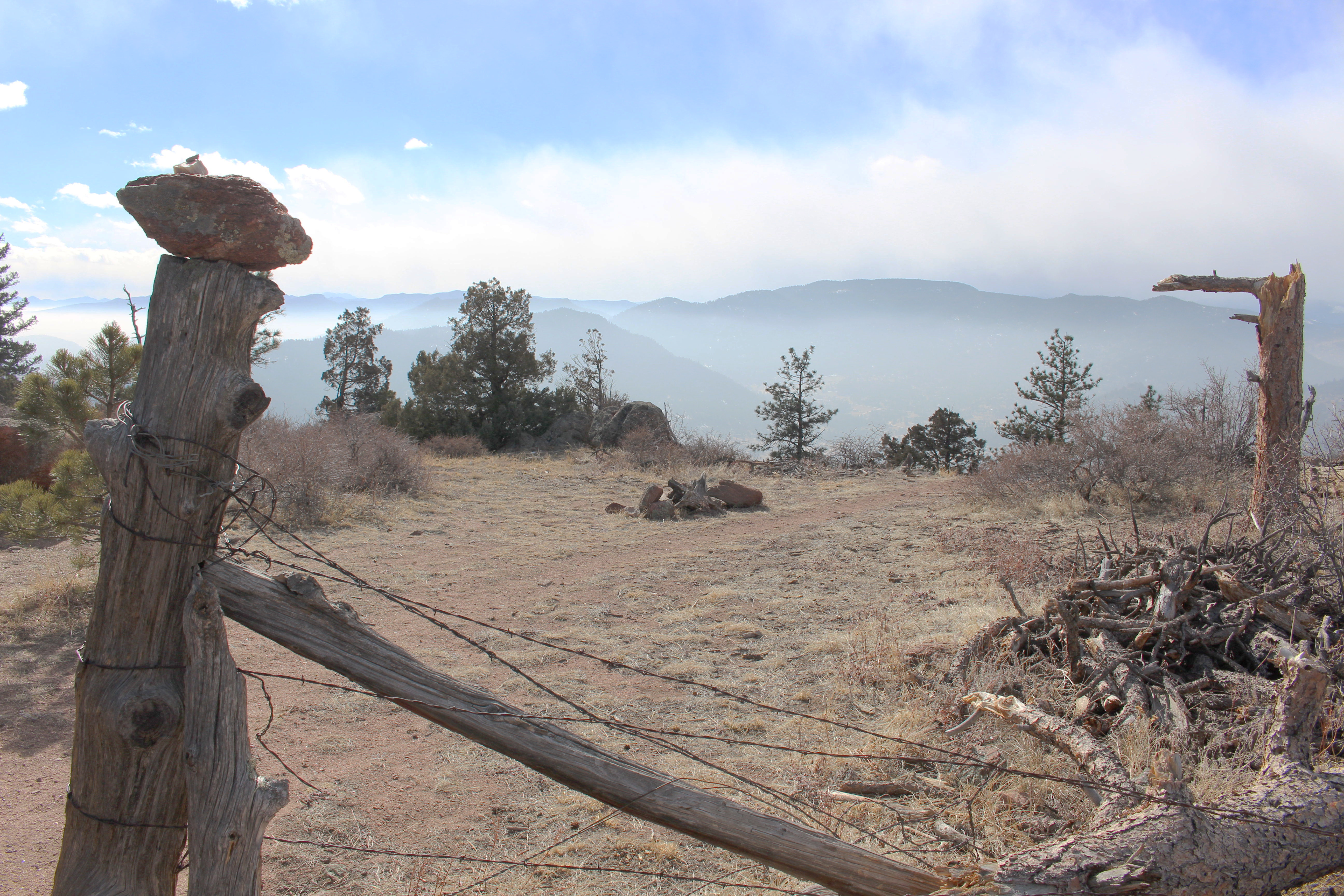 Macro and Micro Picture of the Day 2021-02-14