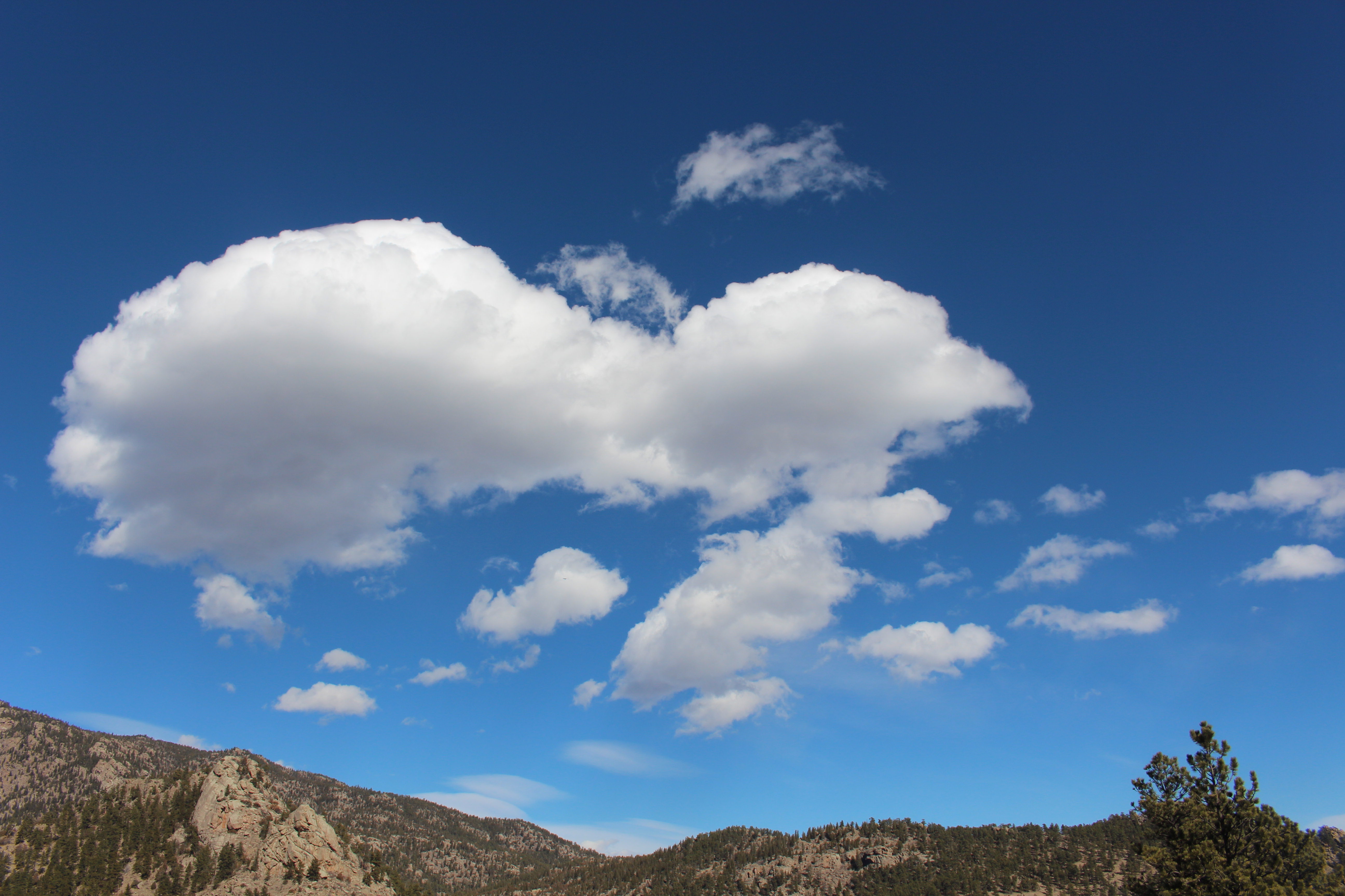 Macro and Micro Picture of the Day 2021-02-15