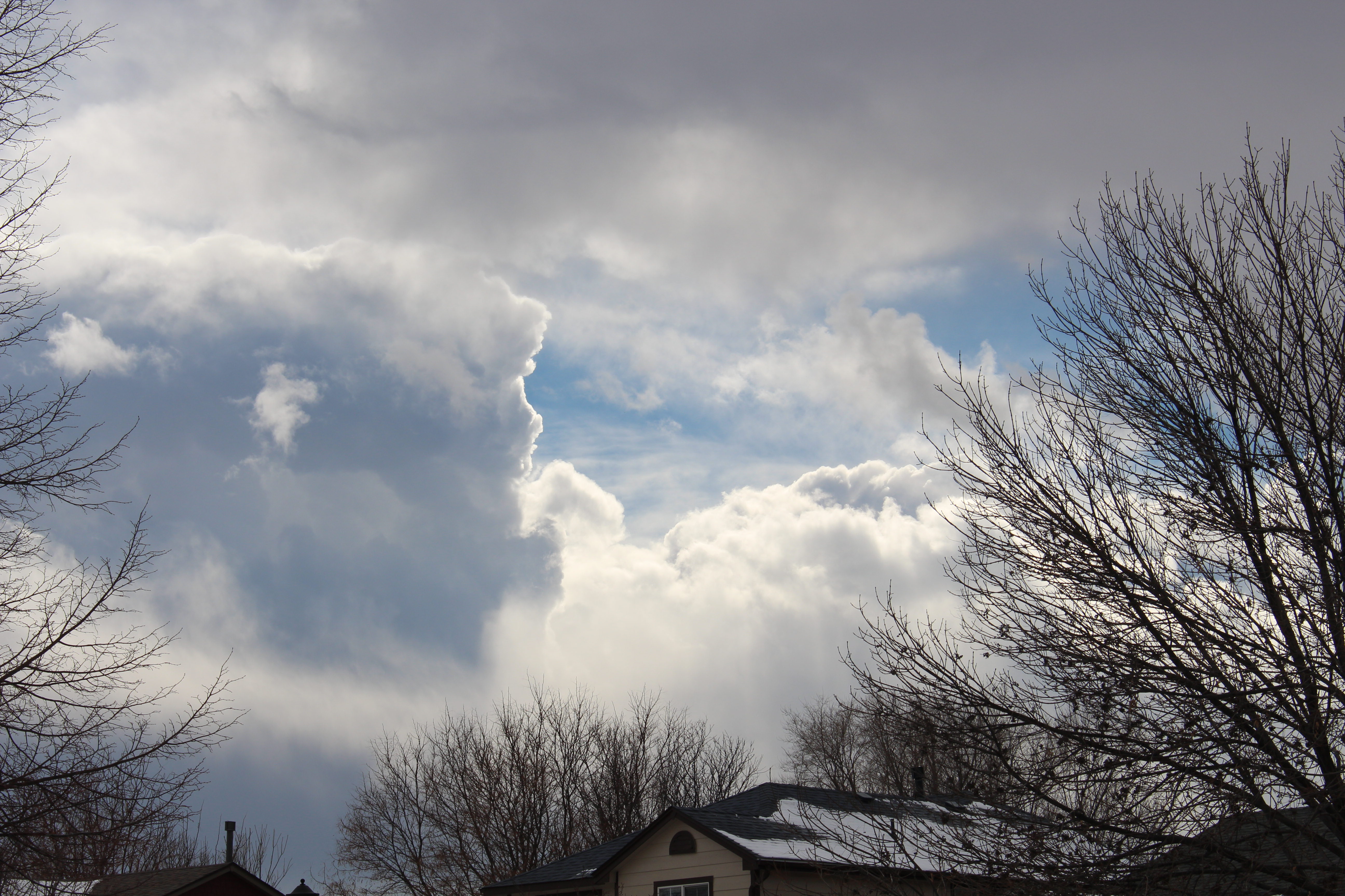 Macro and Micro Picture of the Day 2021-02-16