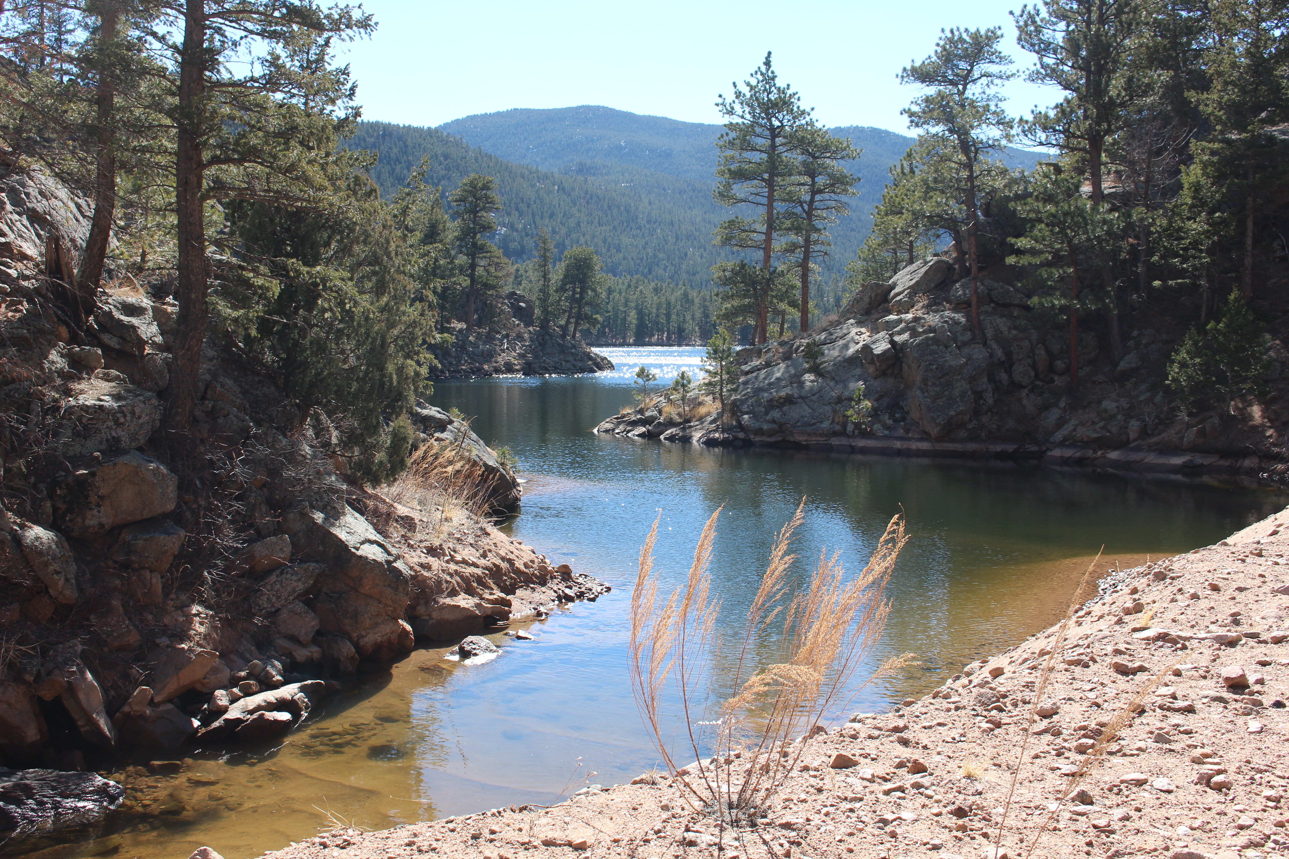 Macro and Micro Picture of the Day 2021-02-17