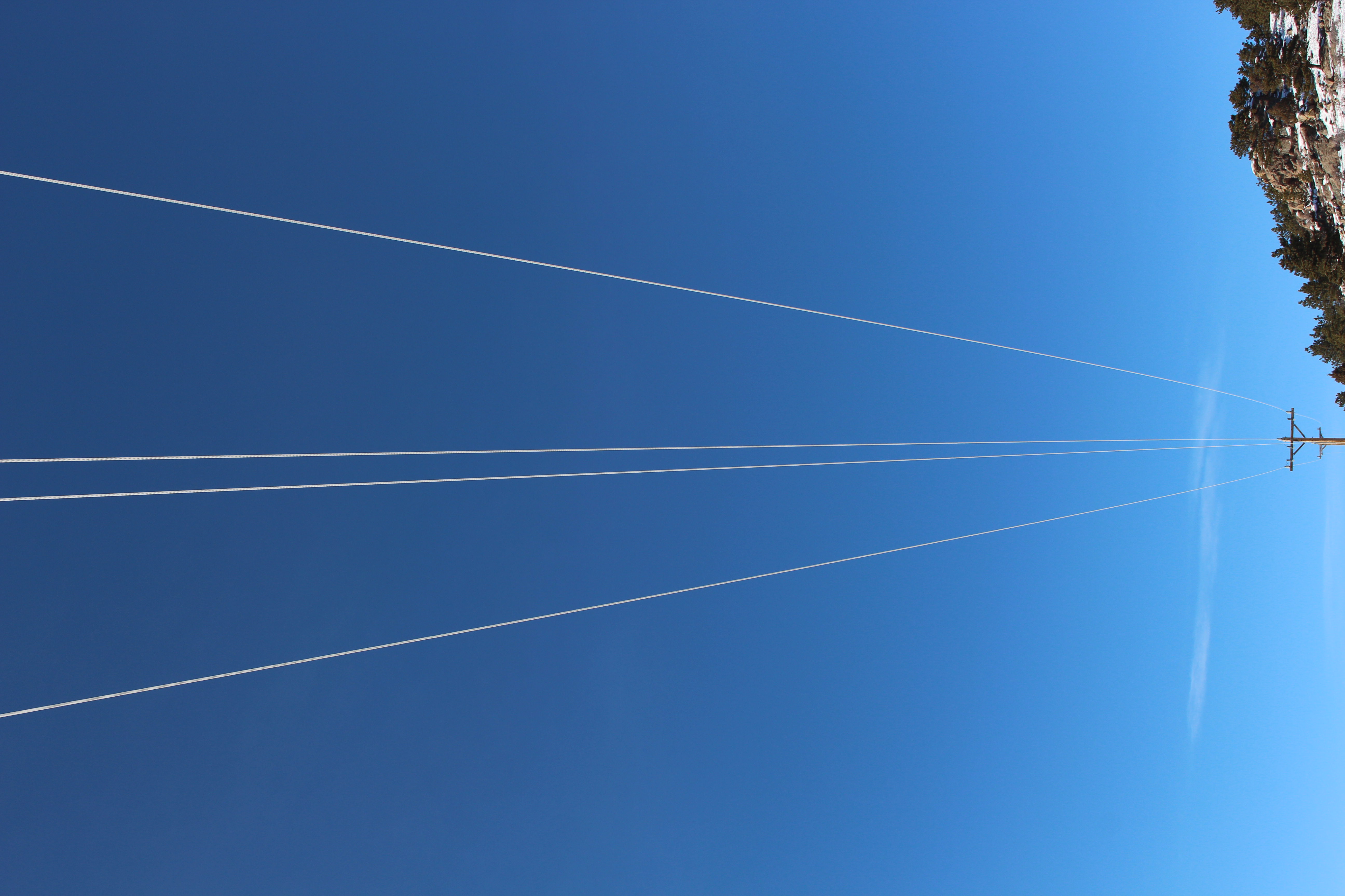 Macro and Micro Picture of the Day 2021-02-22