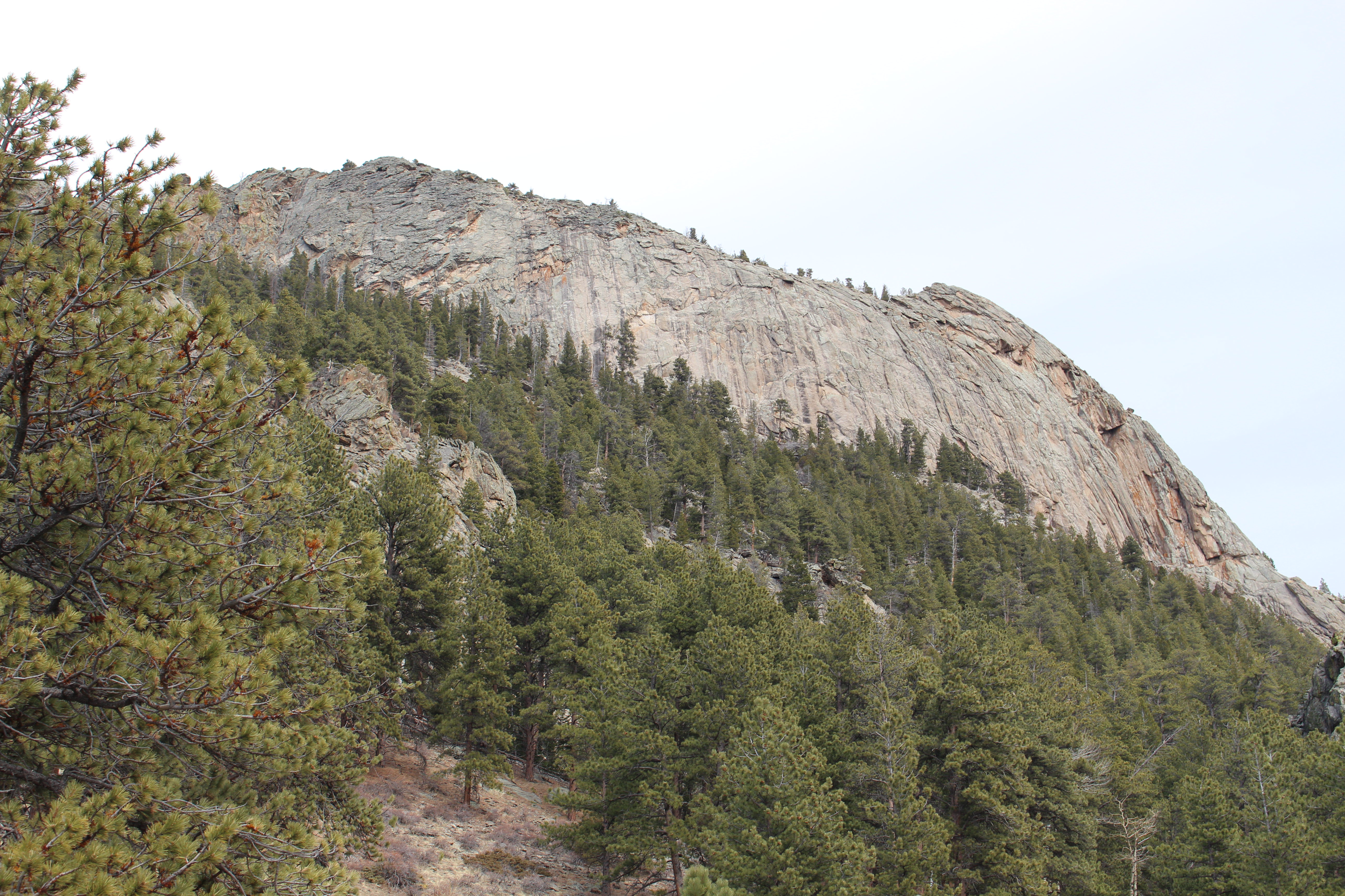 Macro and Micro Picture of the Day 2021-02-23