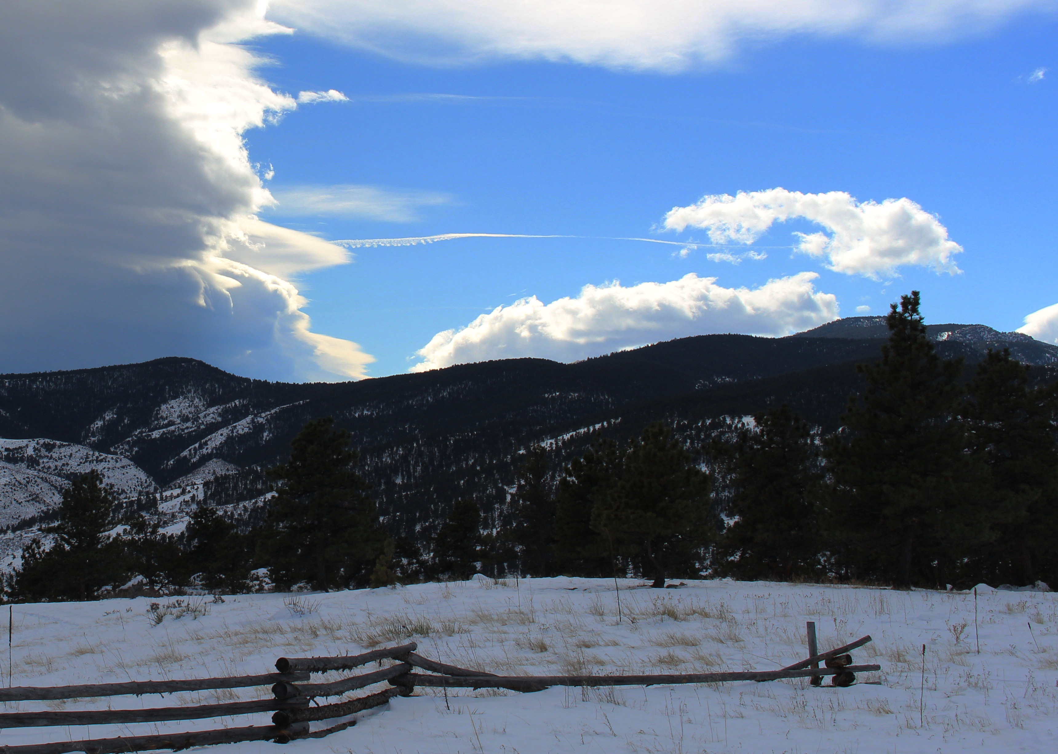 Macro and Micro Picture of the Day 2021-02-24