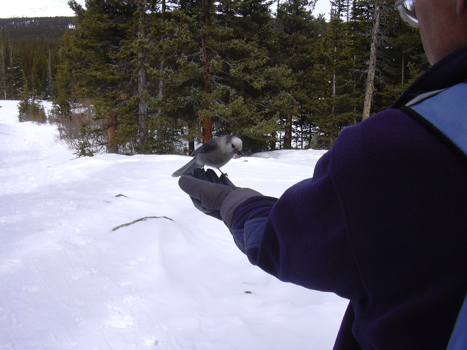 Macro and Micro Picture of the Day 2021-02-26