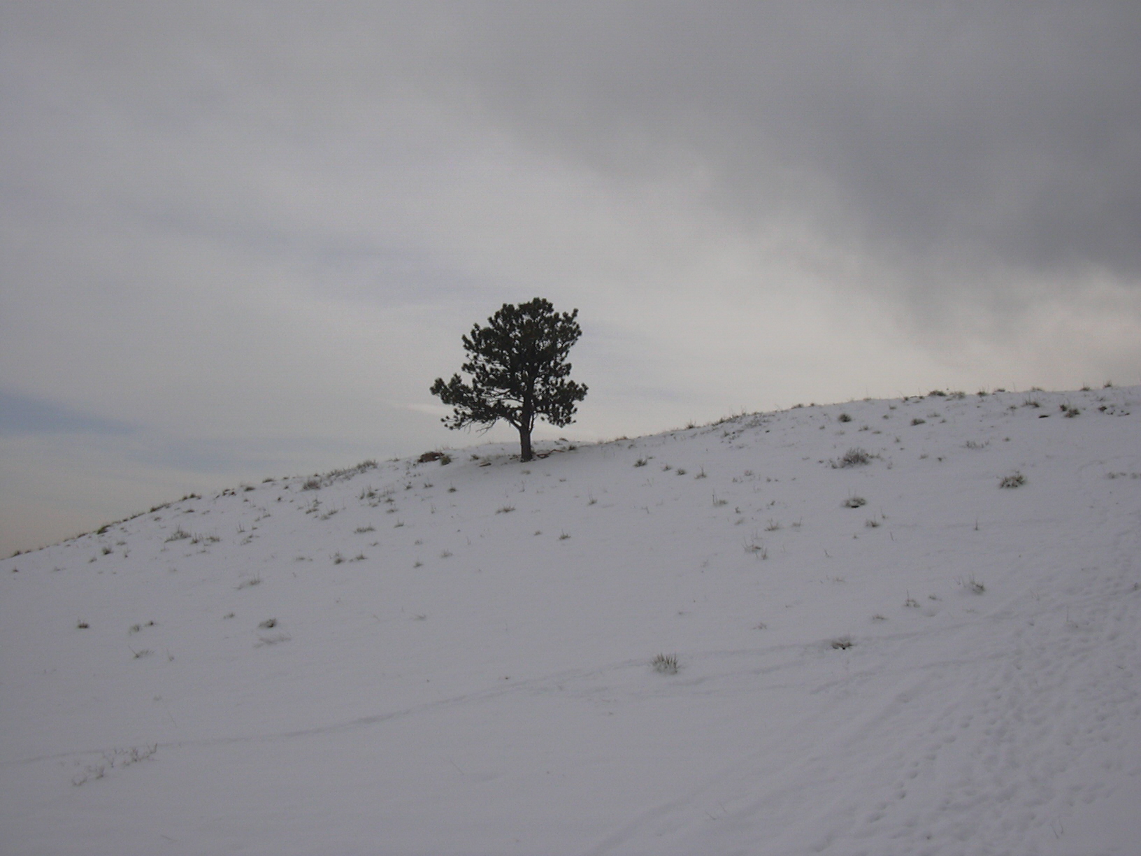 Macro and Micro Picture of the Day 2021-02-28