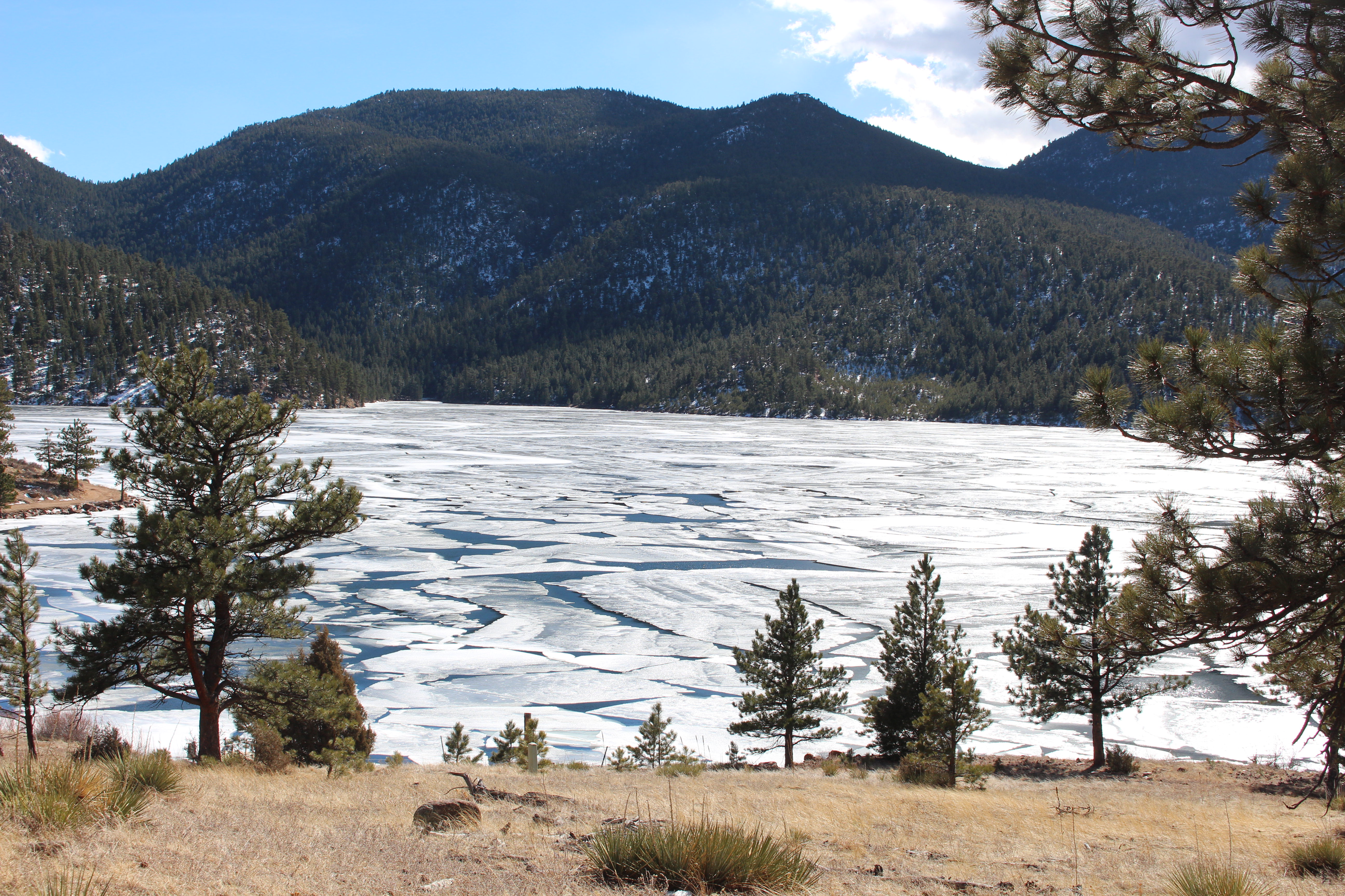 Macro and Micro Picture of the Day 2021-03-01