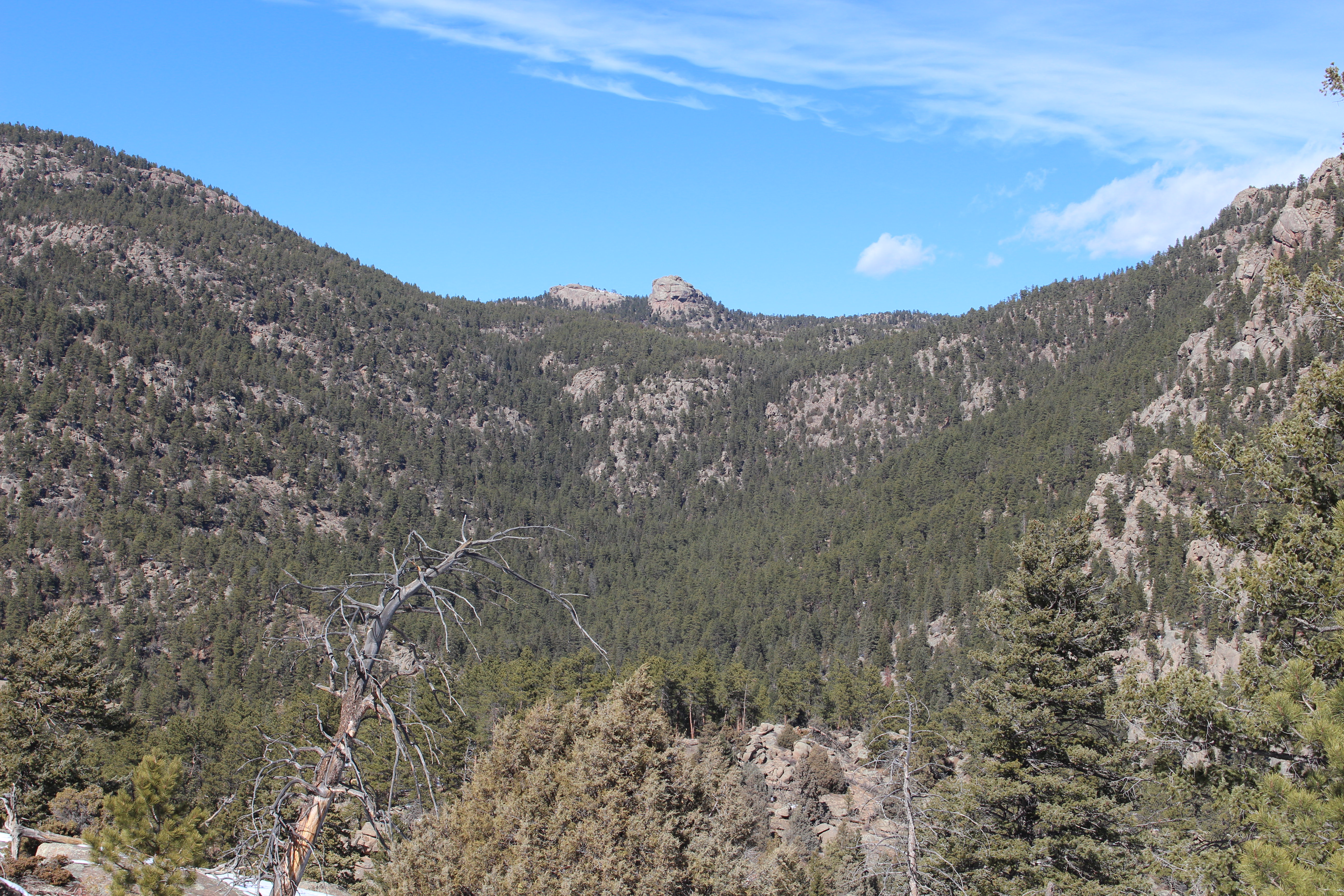 Macro and Micro Picture of the Day 2021-03-02