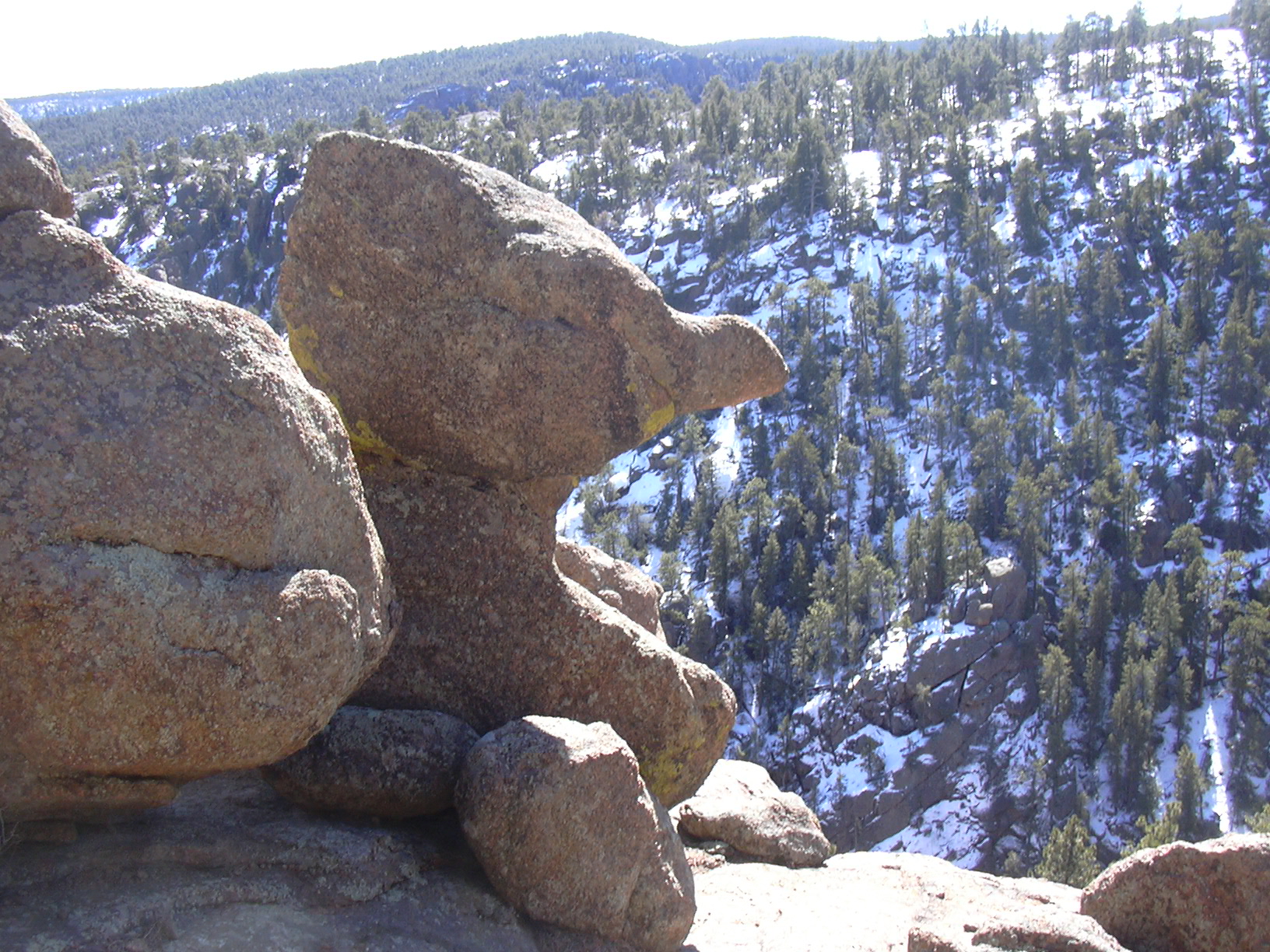 Macro and Micro Picture of the Day 2021-03-04