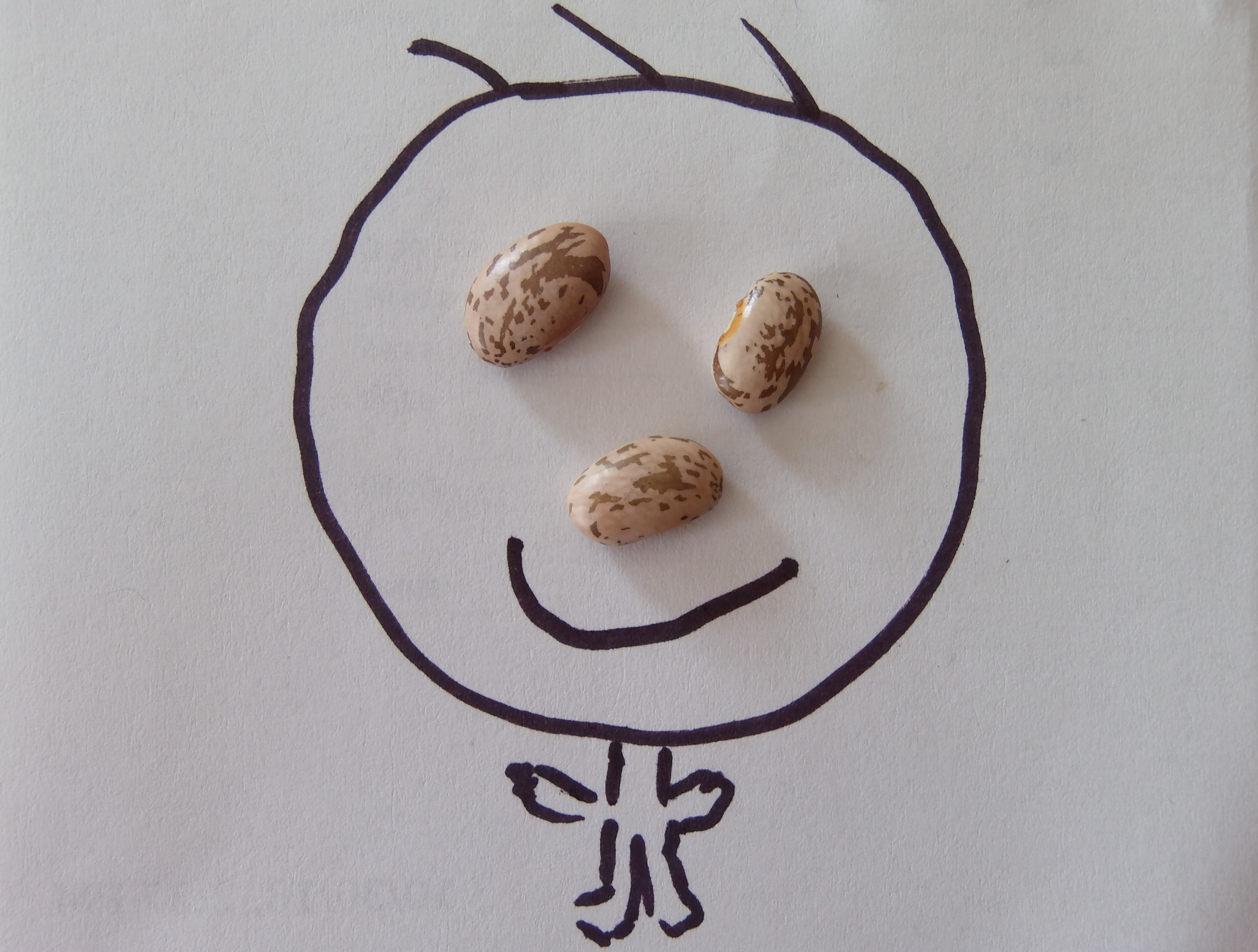 Macro and Micro Picture of the Day 2021-03-05