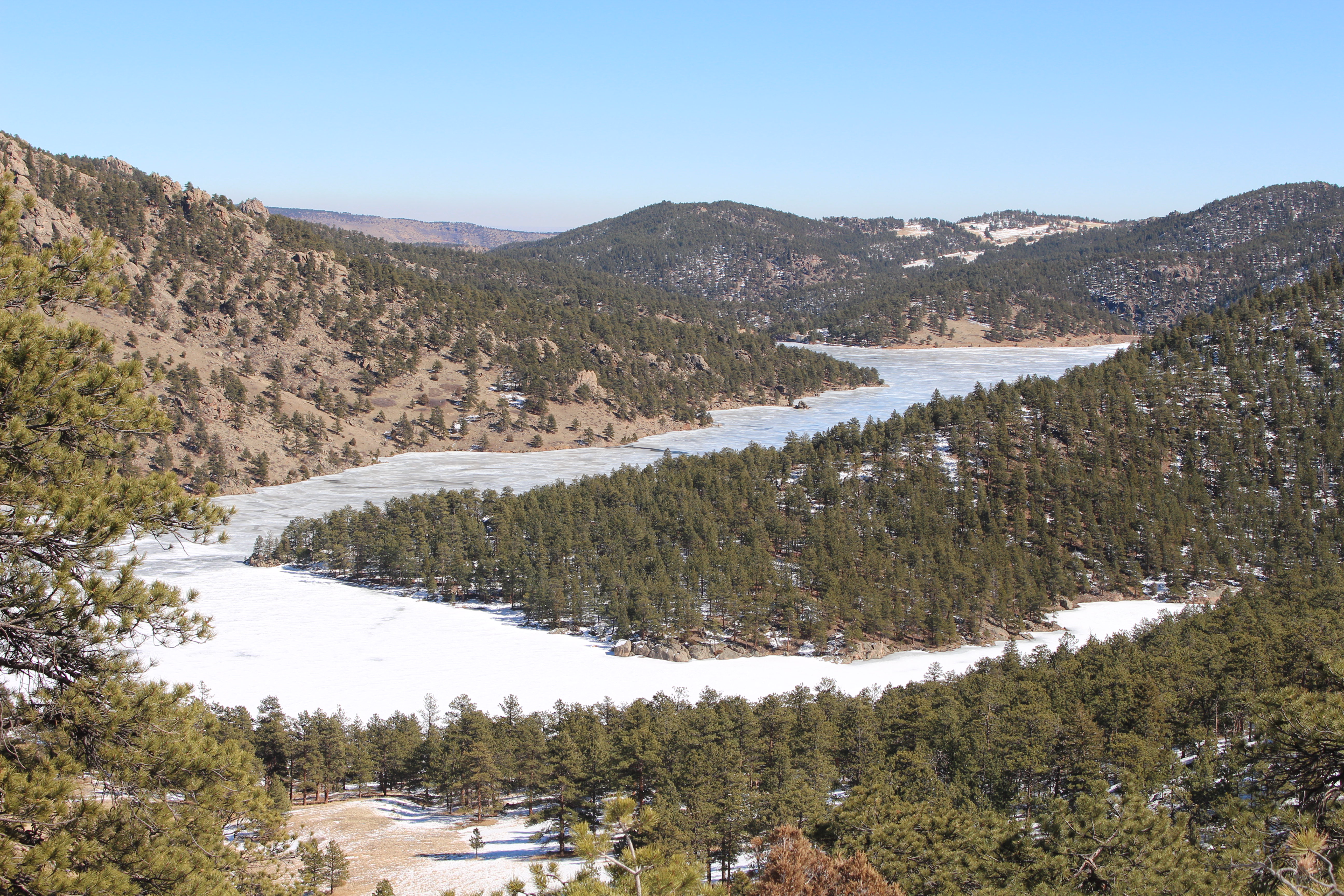 Macro and Micro Picture of the Day 2021-03-08