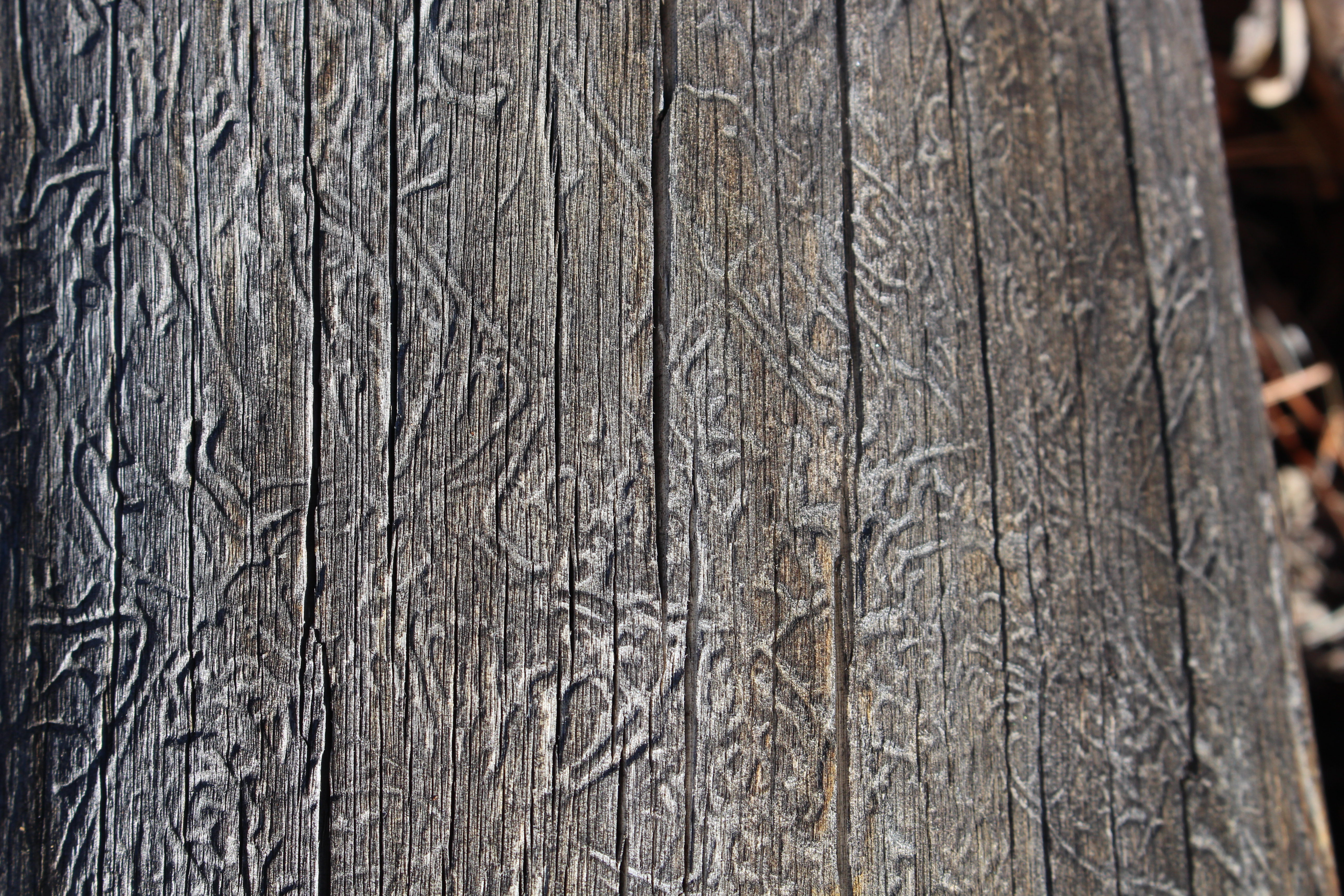 Macro and Micro Picture of the Day 2021-03-09