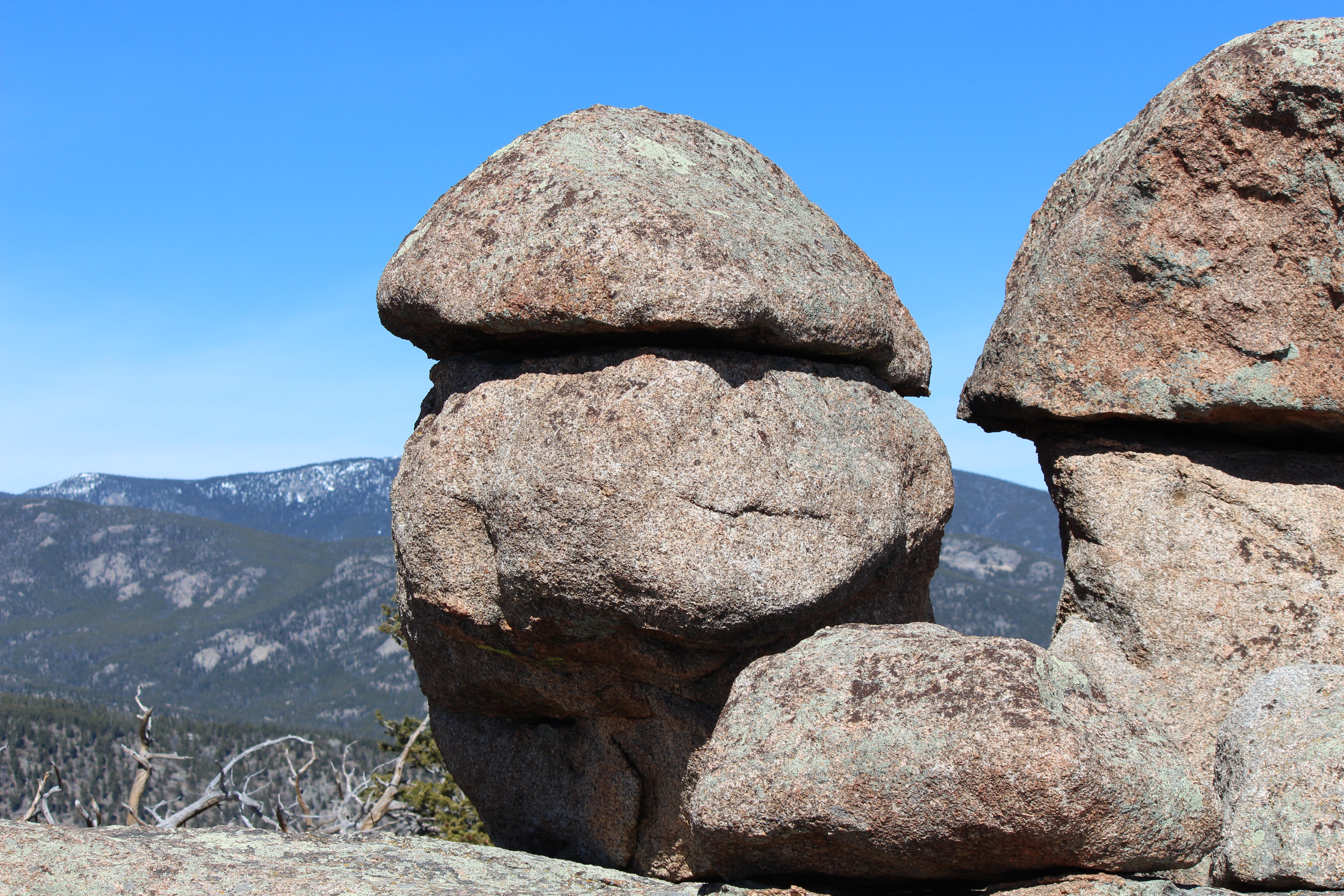 Macro and Micro Picture of the Day 2021-03-12