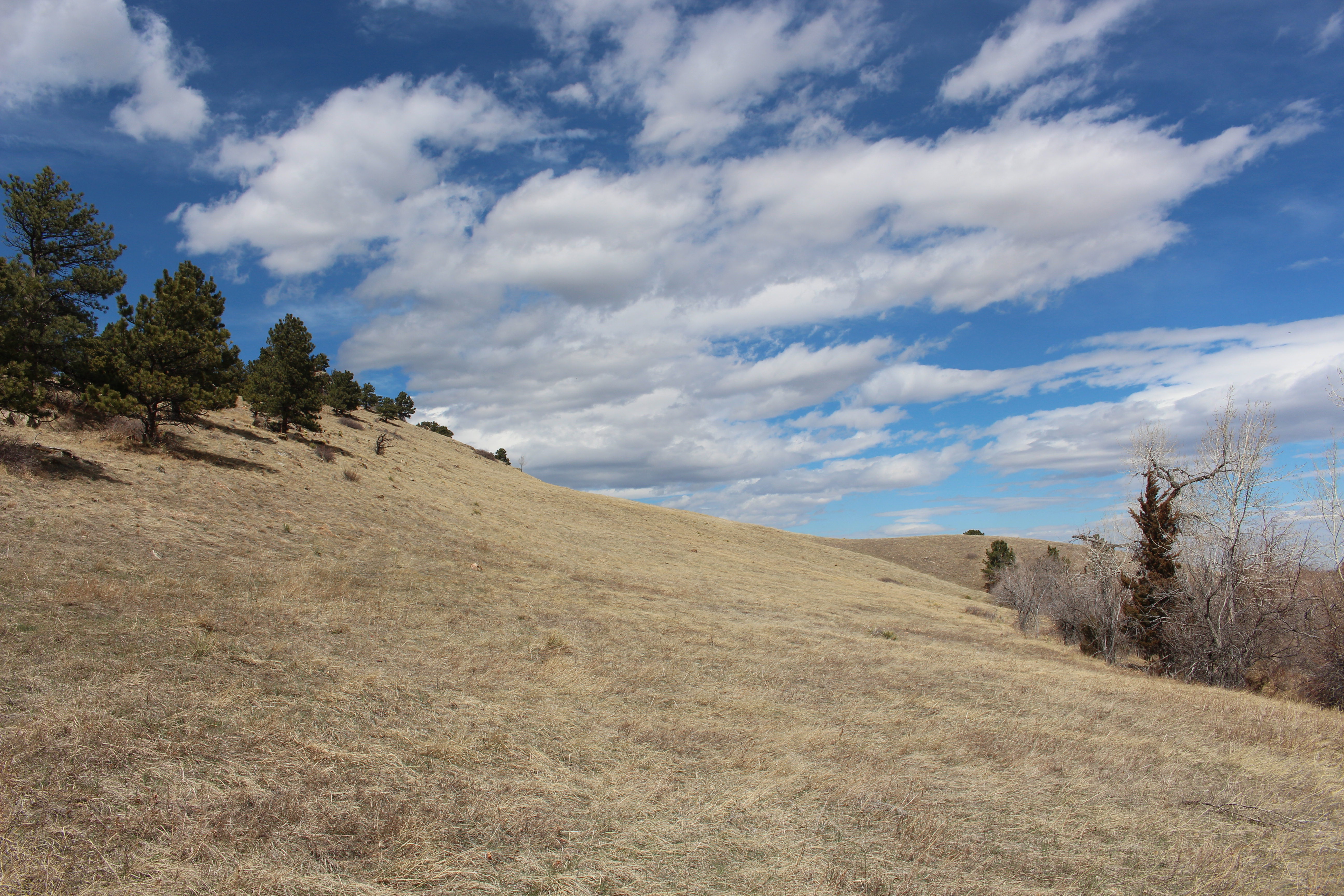 Macro and Micro Picture of the Day 2021-03-14