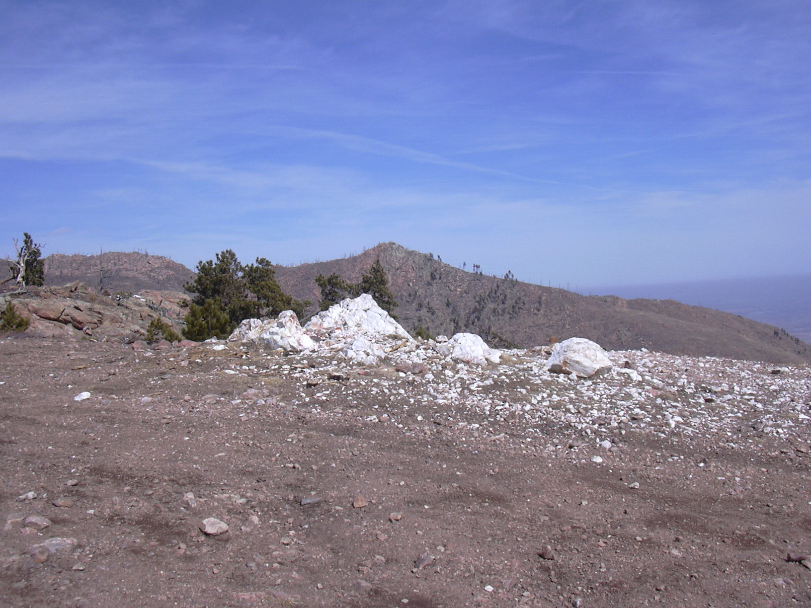 Macro and Micro Picture of the Day 2021-03-15