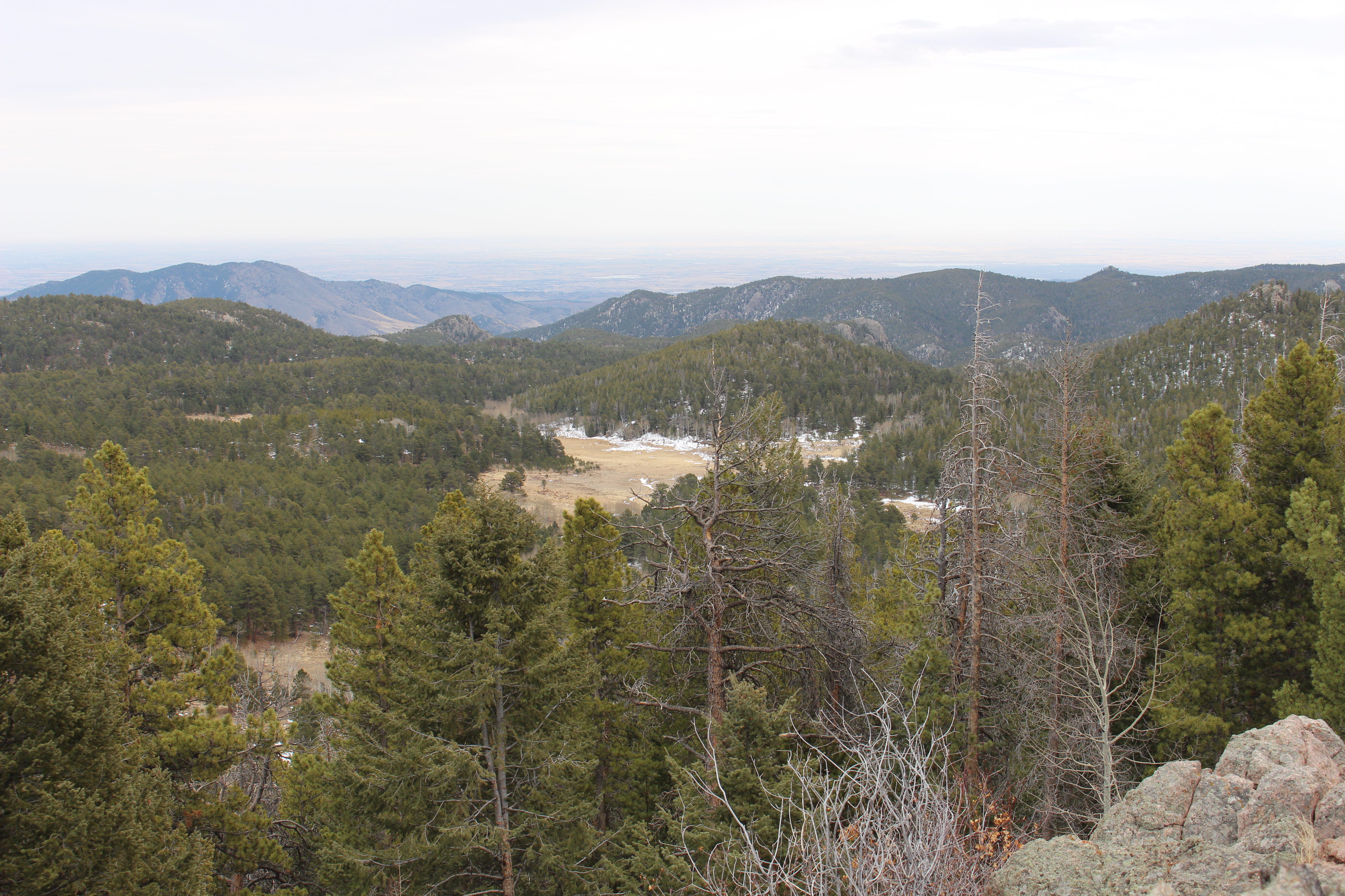 Macro and Micro Picture of the Day 2021-03-16