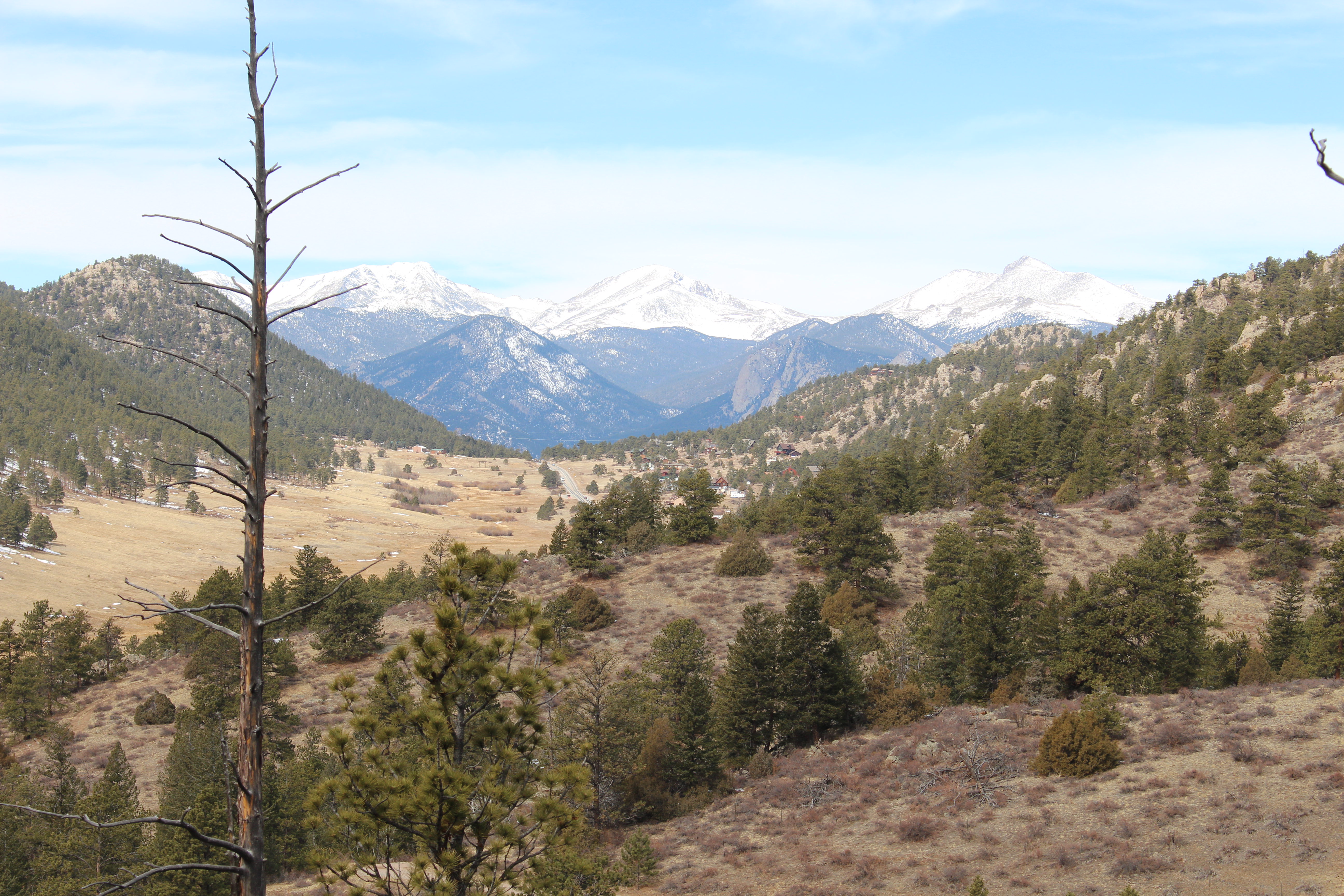 Macro and Micro Picture of the Day 2021-03-18