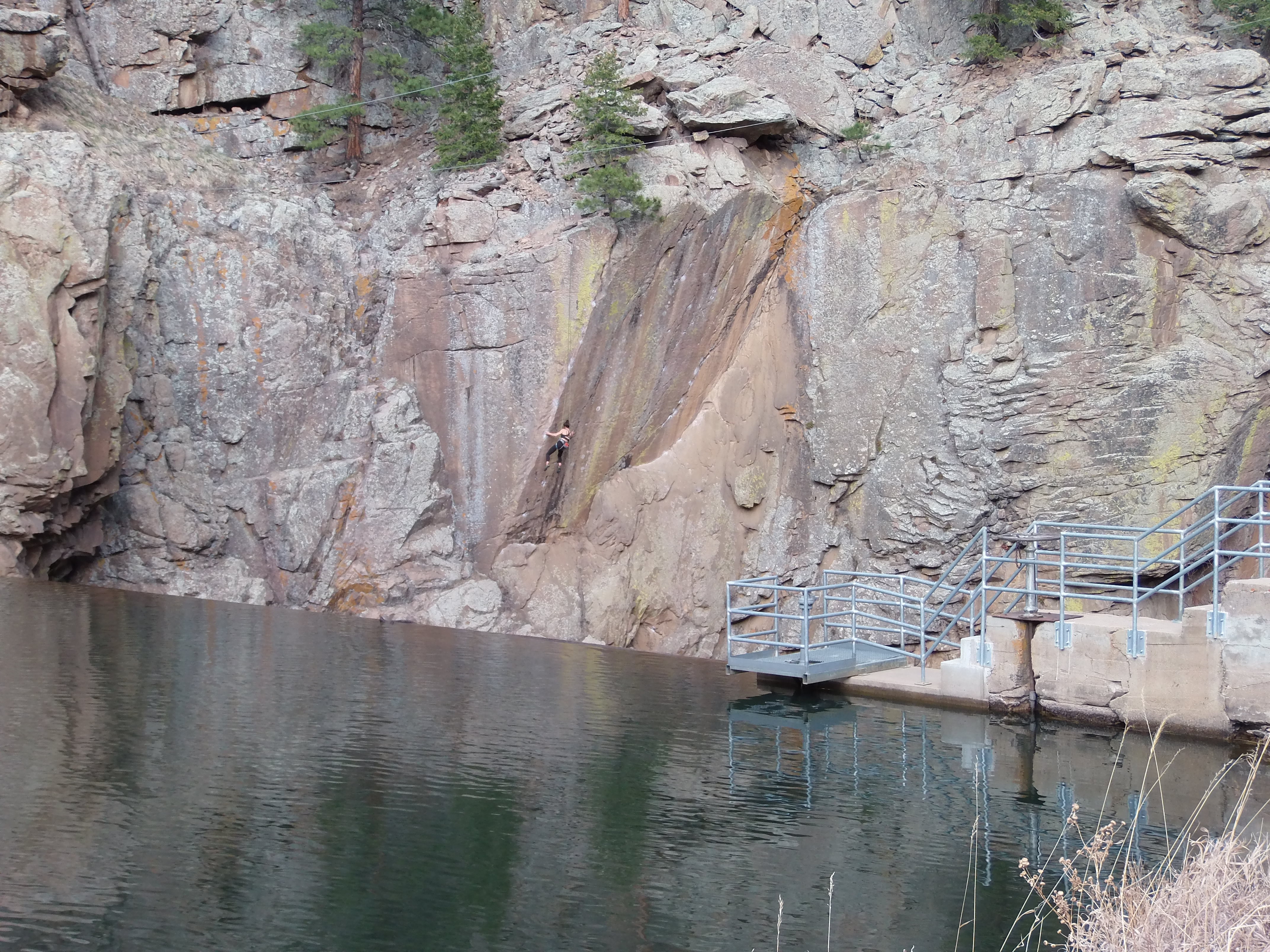 Macro and Micro Picture of the Day 2021-03-20