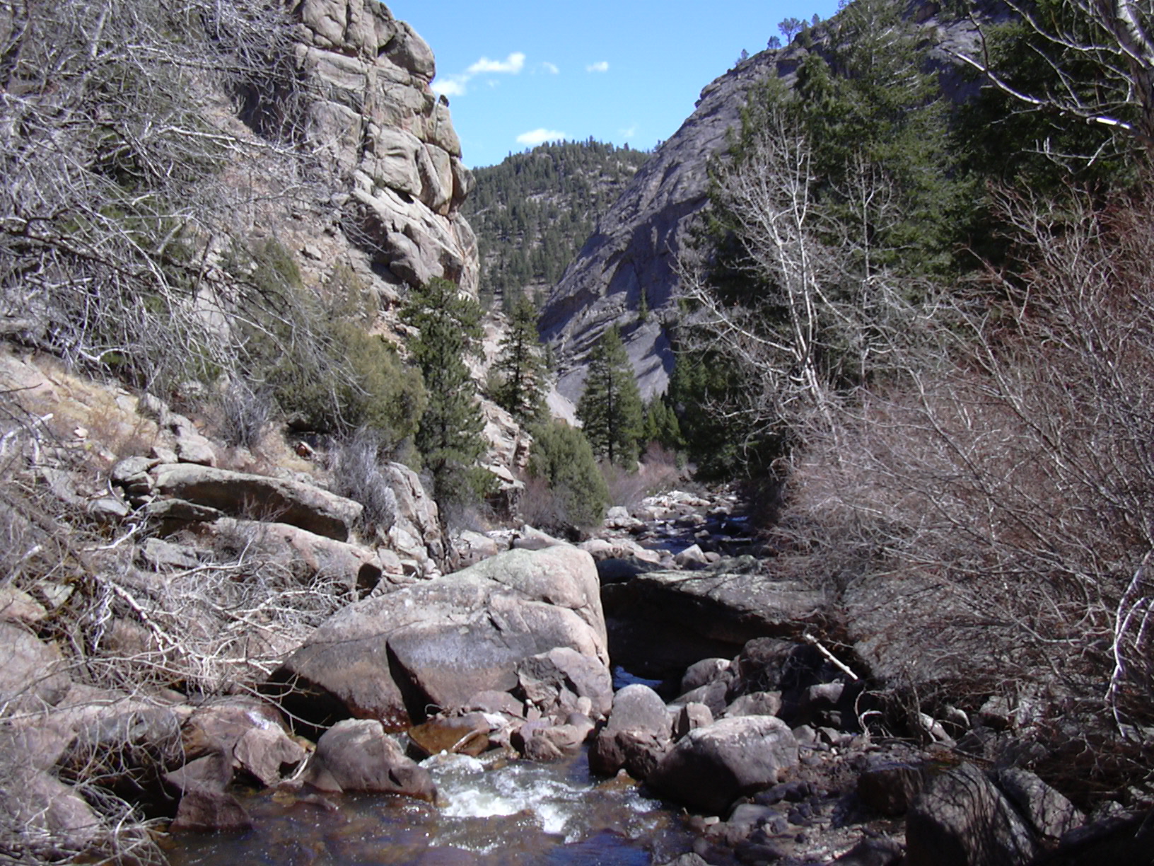 Macro and Micro Picture of the Day 2021-04-03