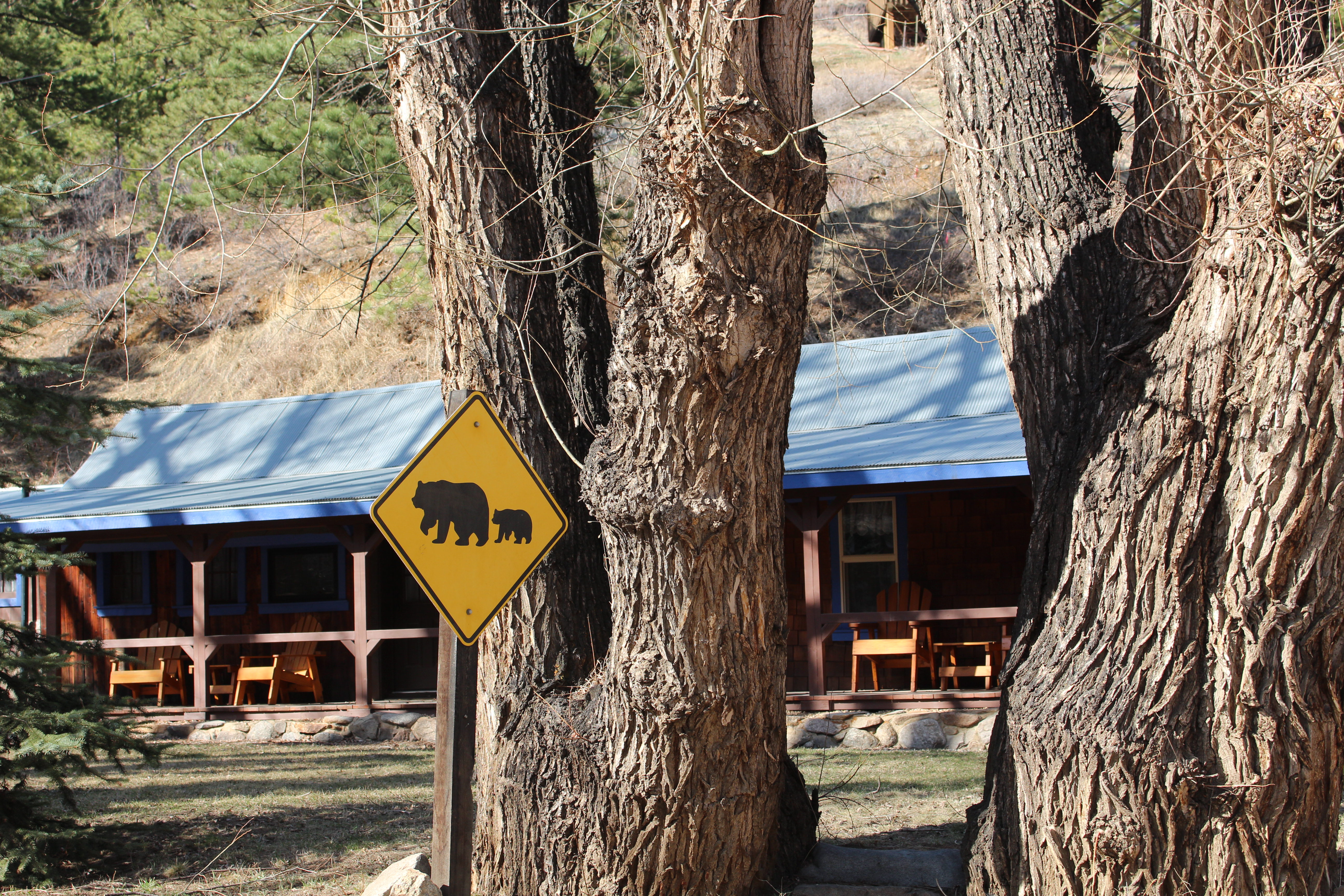 Macro and Micro Picture of the Day 2021-04-07