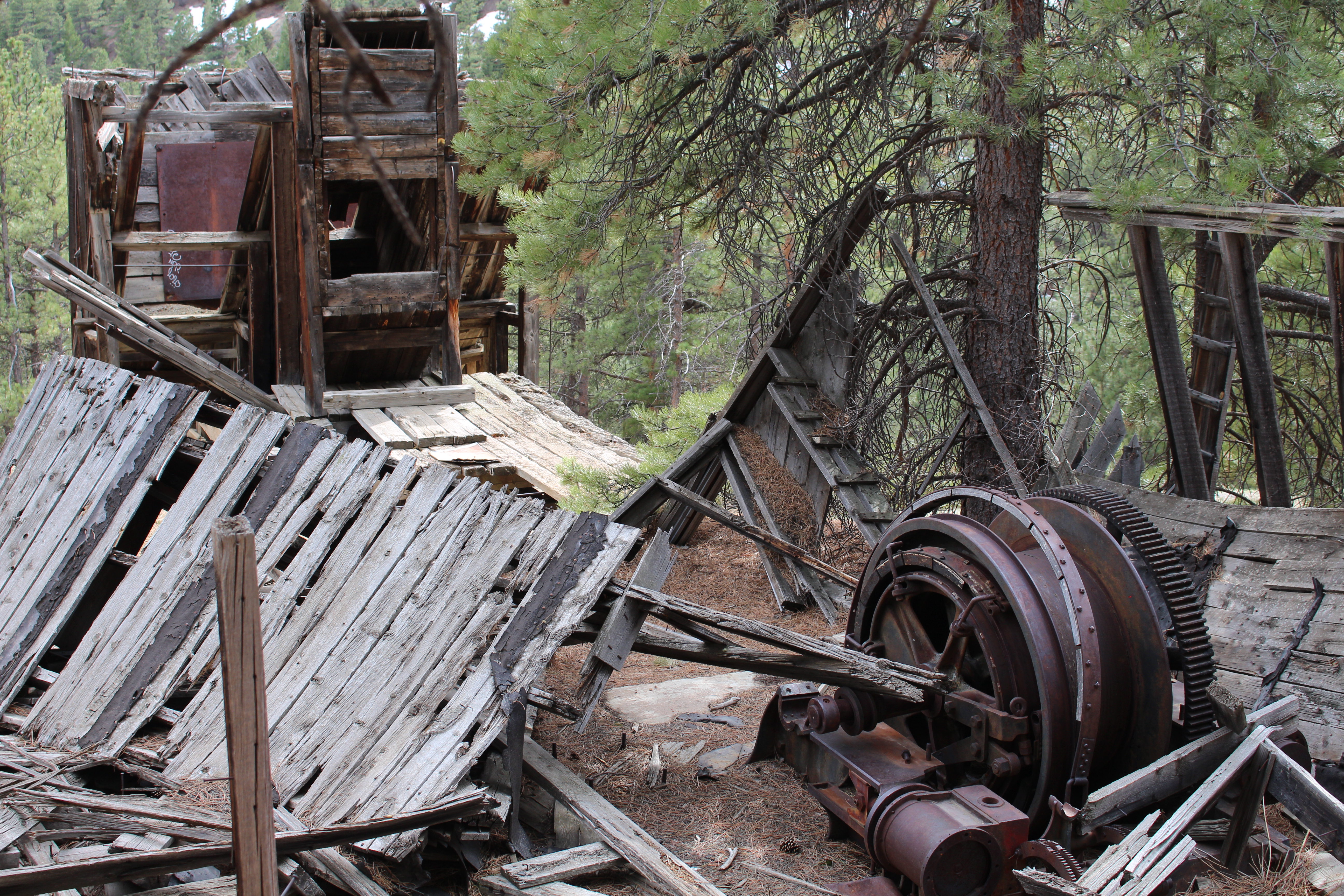 Macro and Micro Picture of the Day 2021-04-09