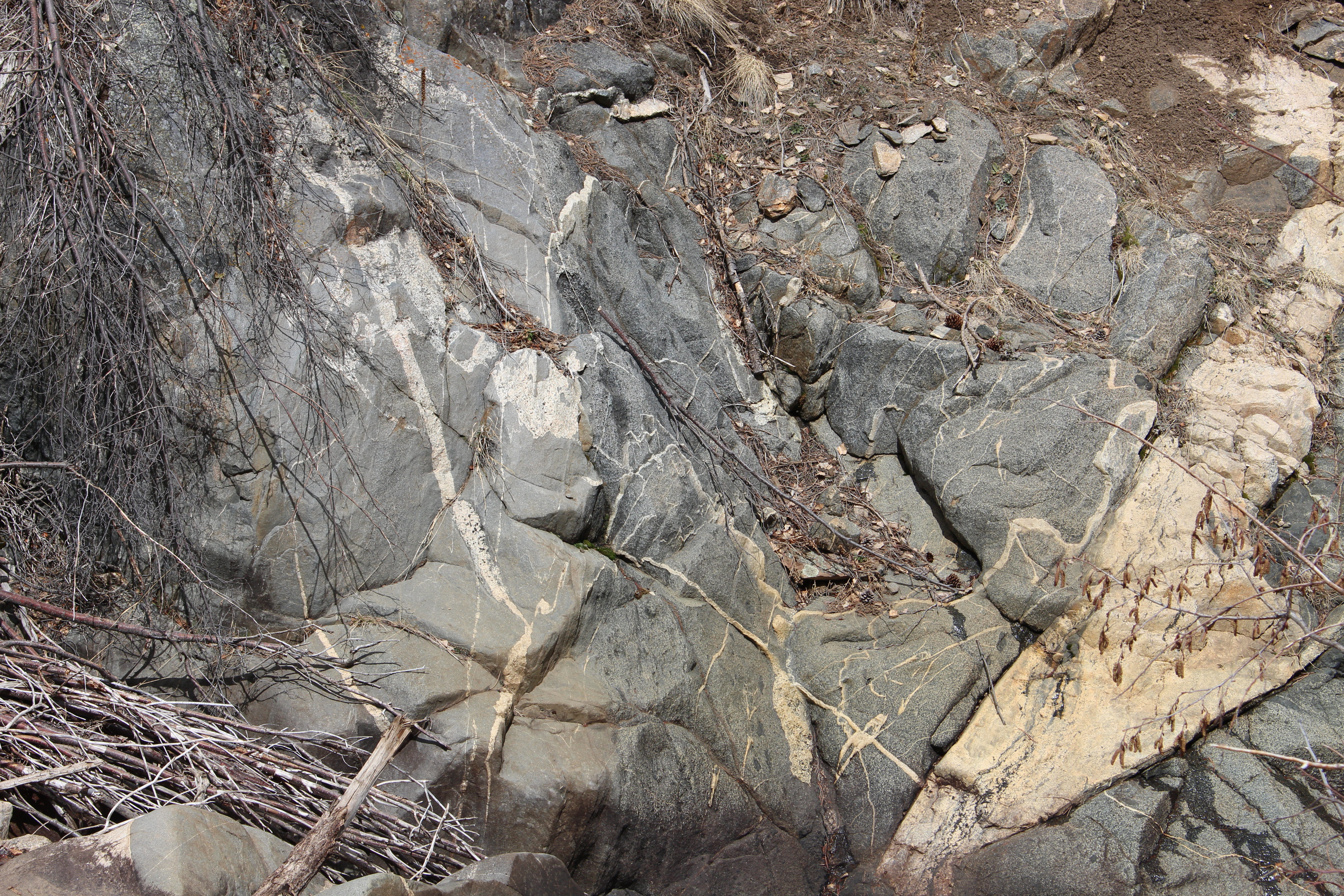 Macro and Micro Picture of the Day 2021-04-11