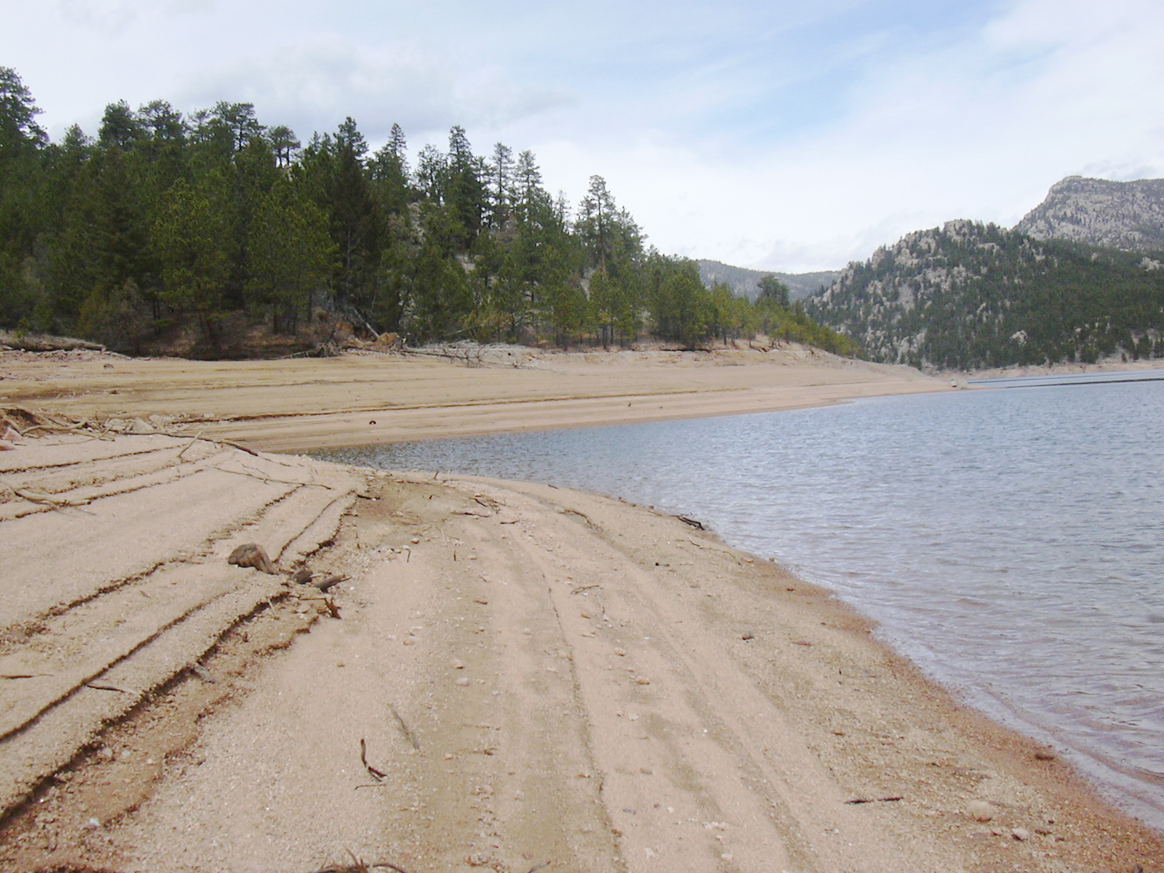 Macro and Micro Picture of the Day 2021-04-17