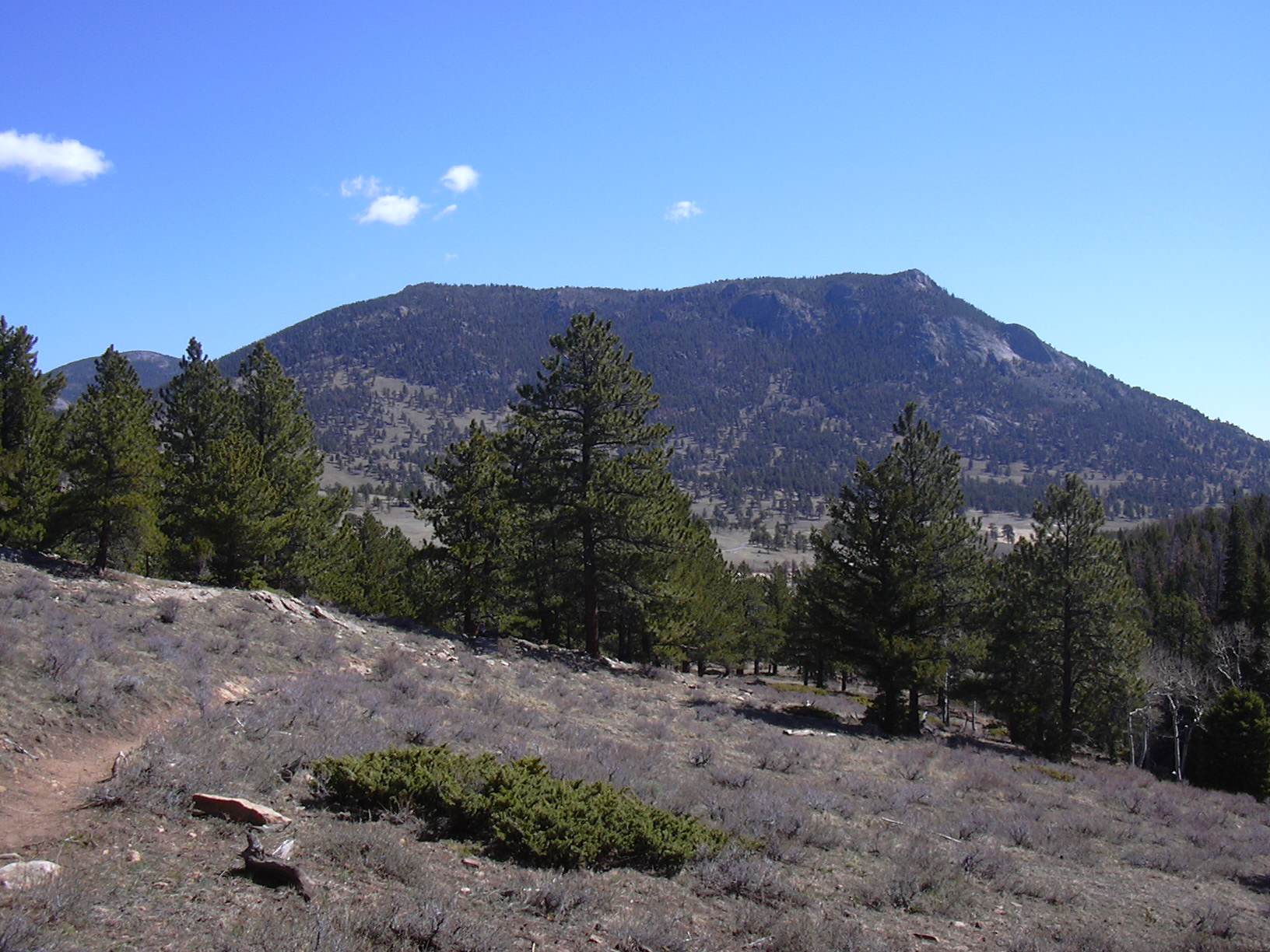 Macro and Micro Picture of the Day 2021-04-21