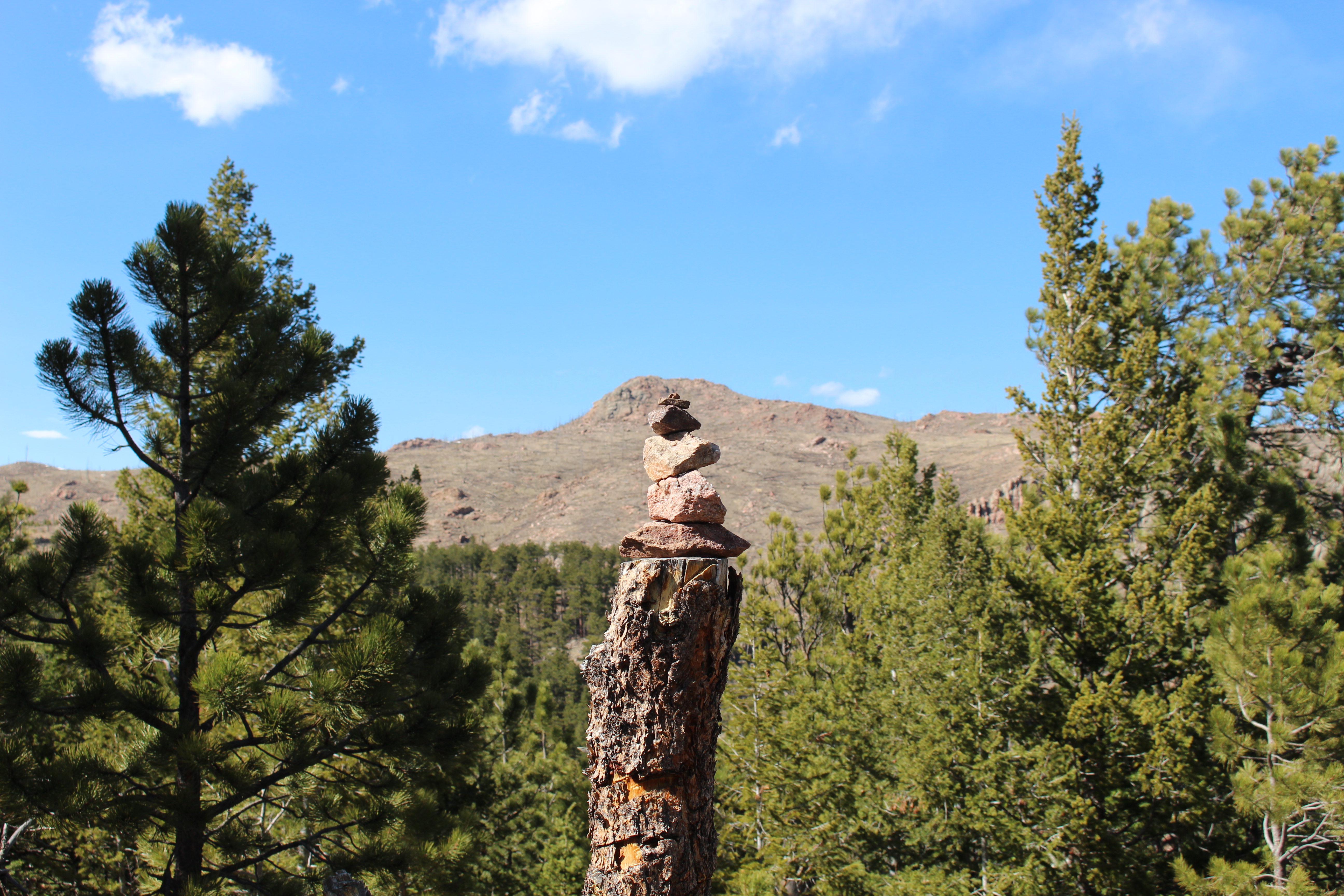 Macro and Micro Picture of the Day 2021-04-23