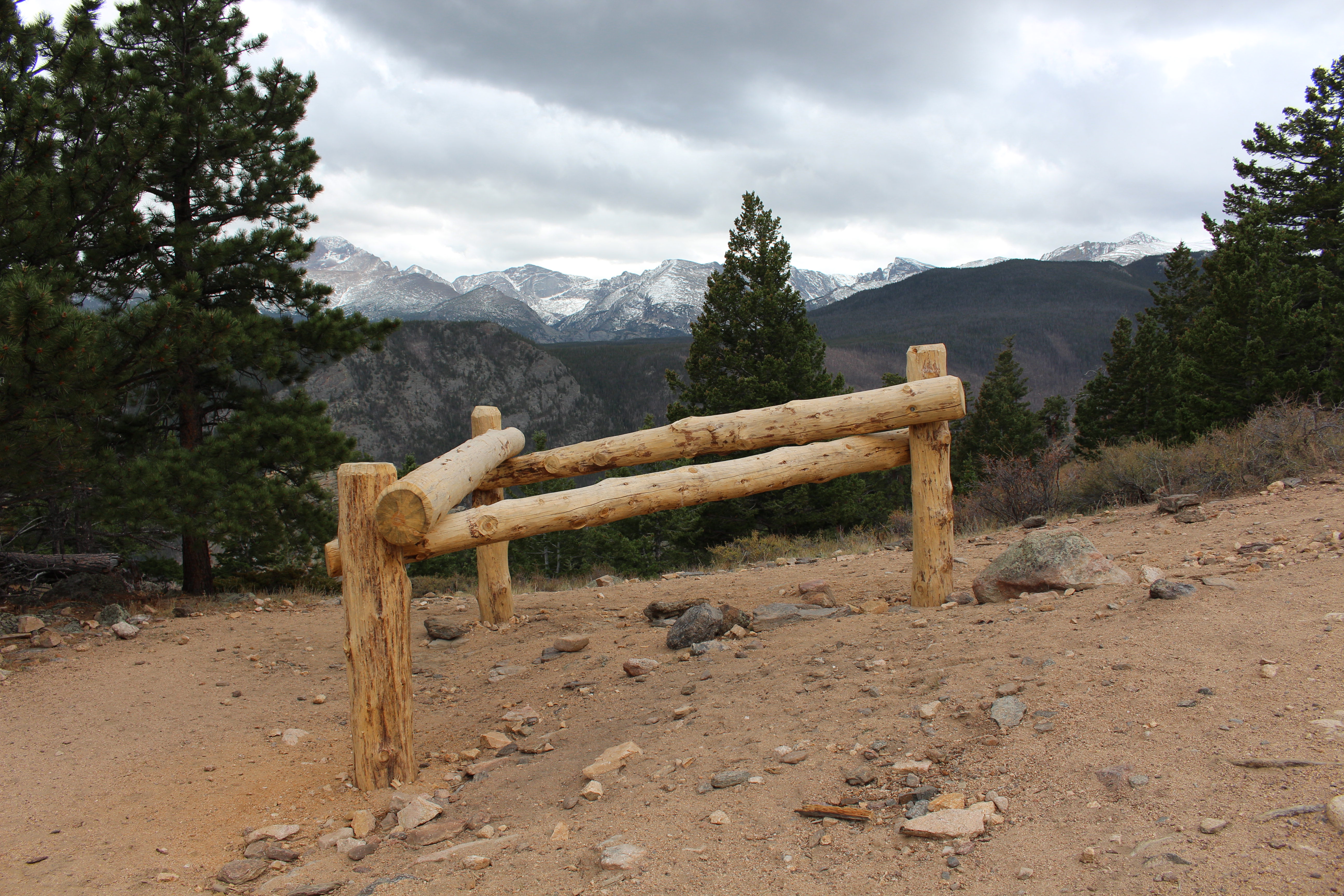 Macro and Micro Picture of the Day 2021-04-25