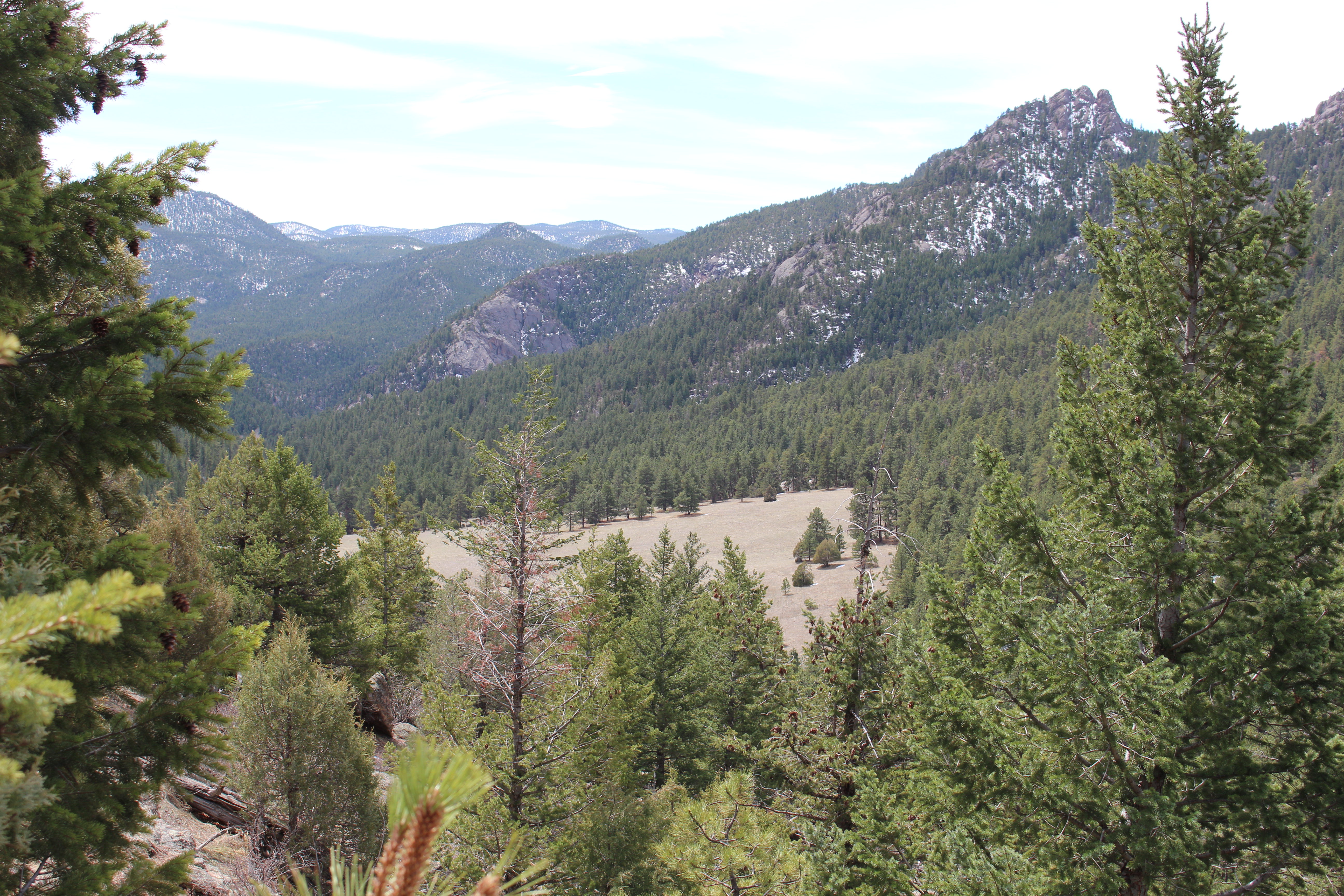 Macro and Micro Picture of the Day 2021-04-27