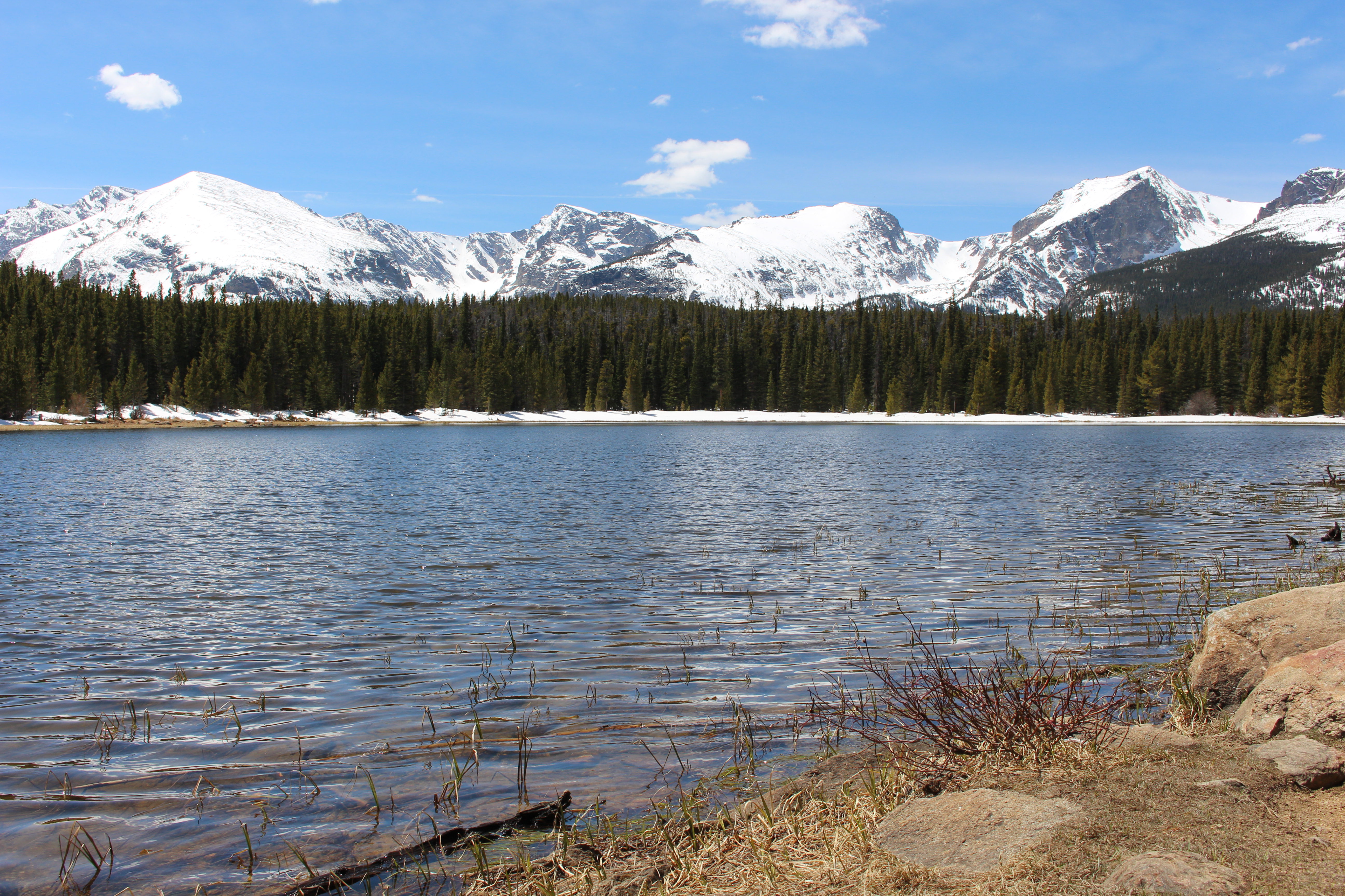 Macro and Micro Picture of the Day 2021-05-05