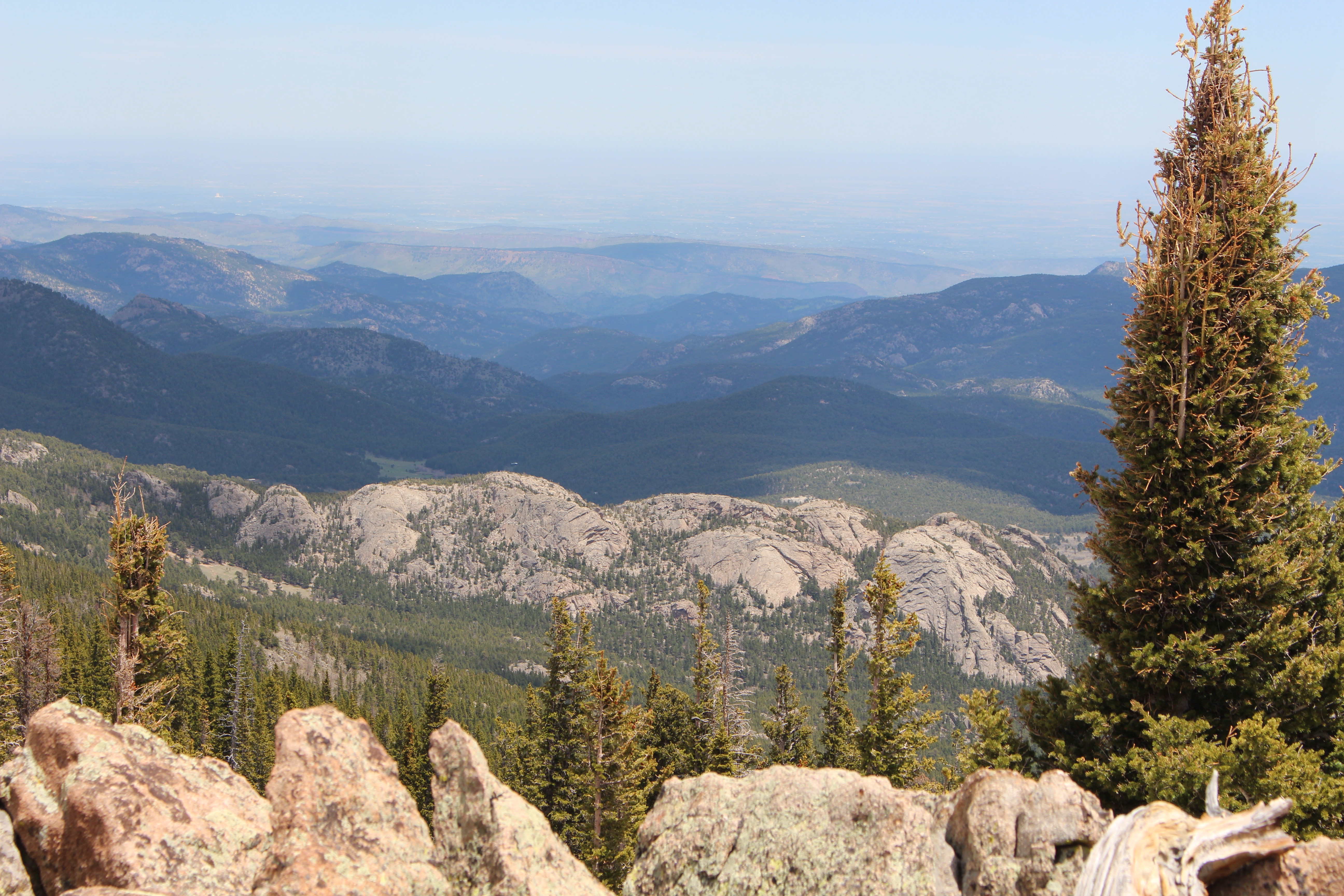 Macro and Micro Picture of the Day 2021-06-02