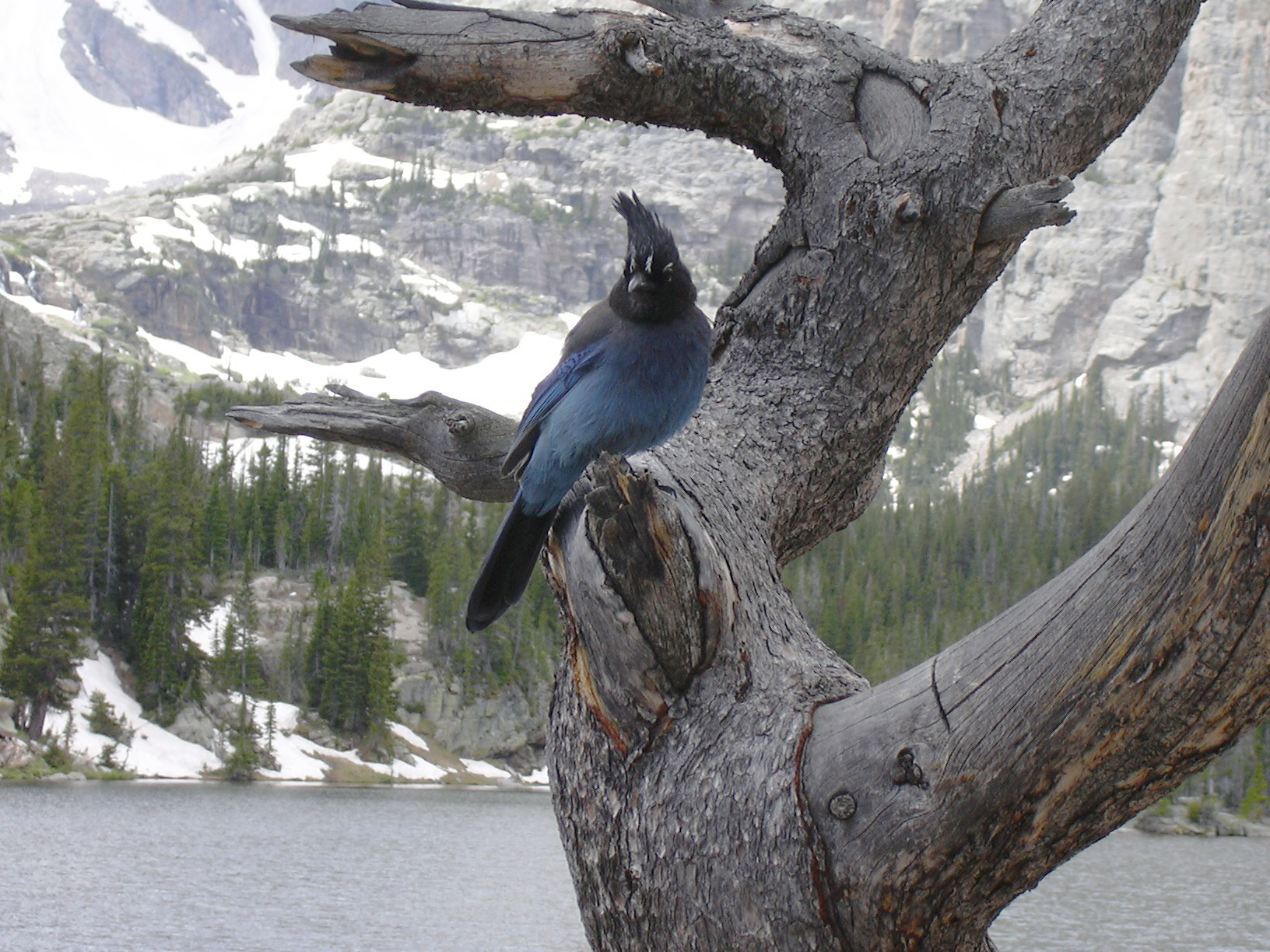 Macro and Micro Picture of the Day 2021-06-04