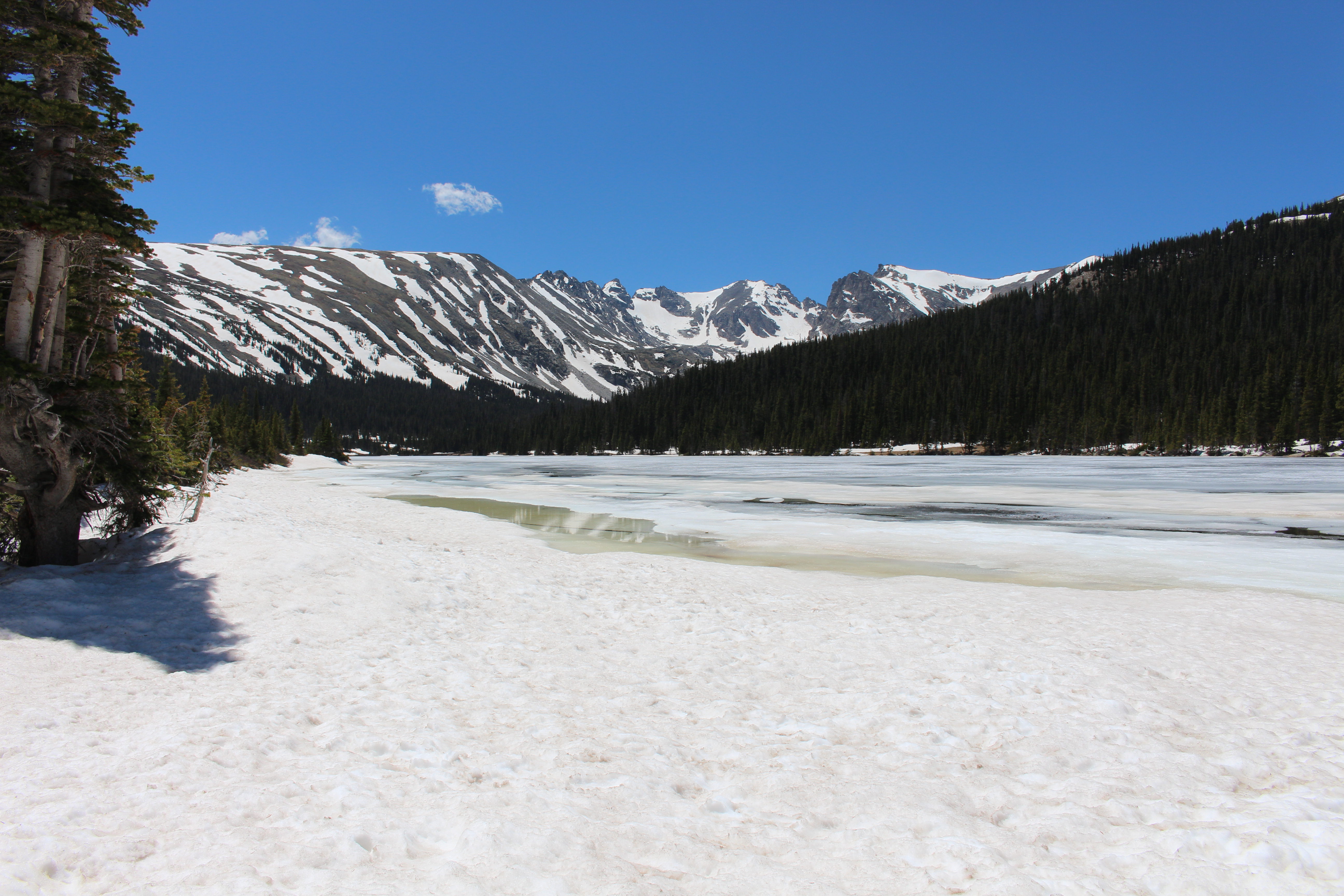 Macro and Micro Picture of the Day 2021-06-15