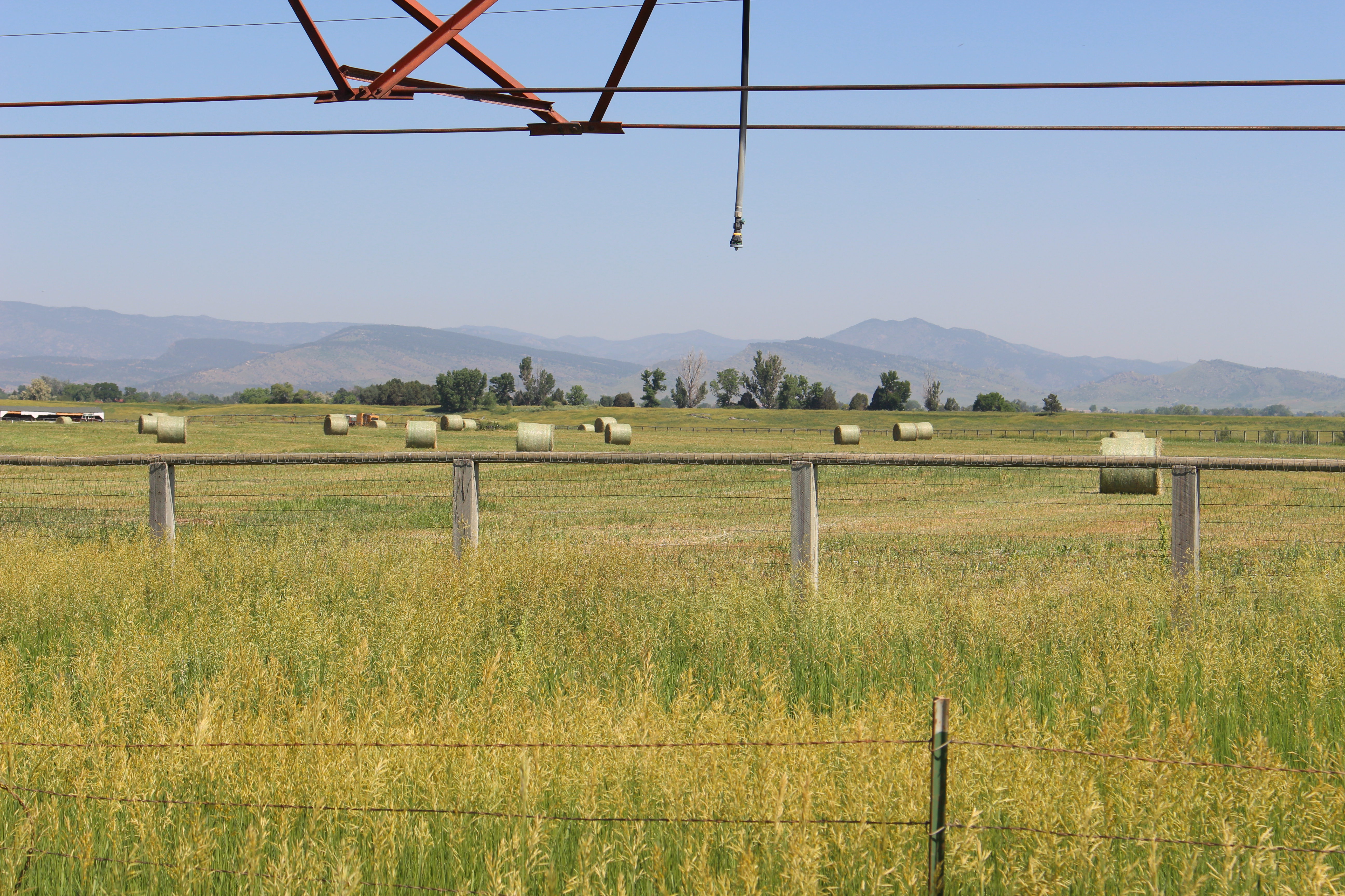 Macro and Micro Picture of the Day 2021-06-25