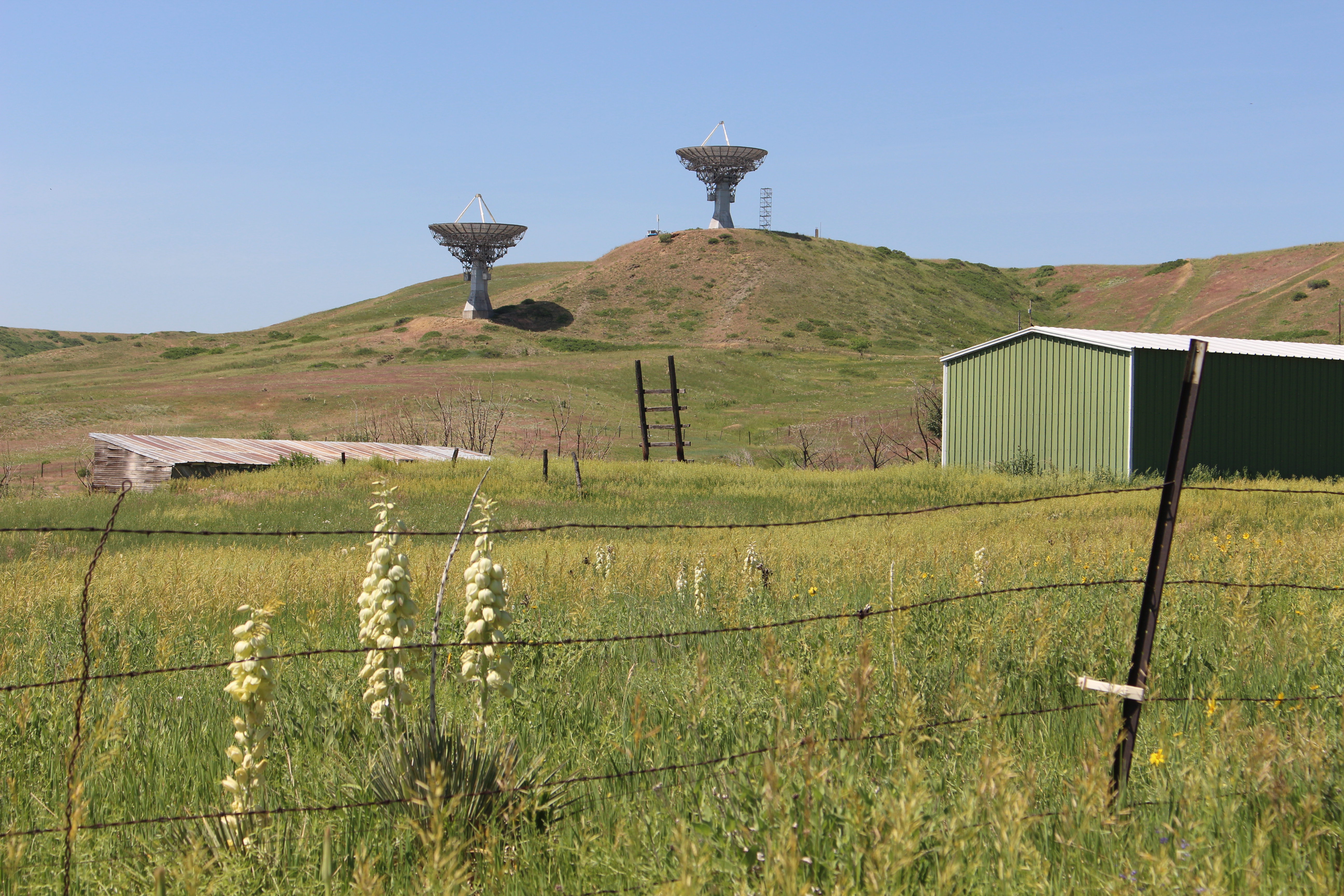 Macro and Micro Picture of the Day 2021-06-27