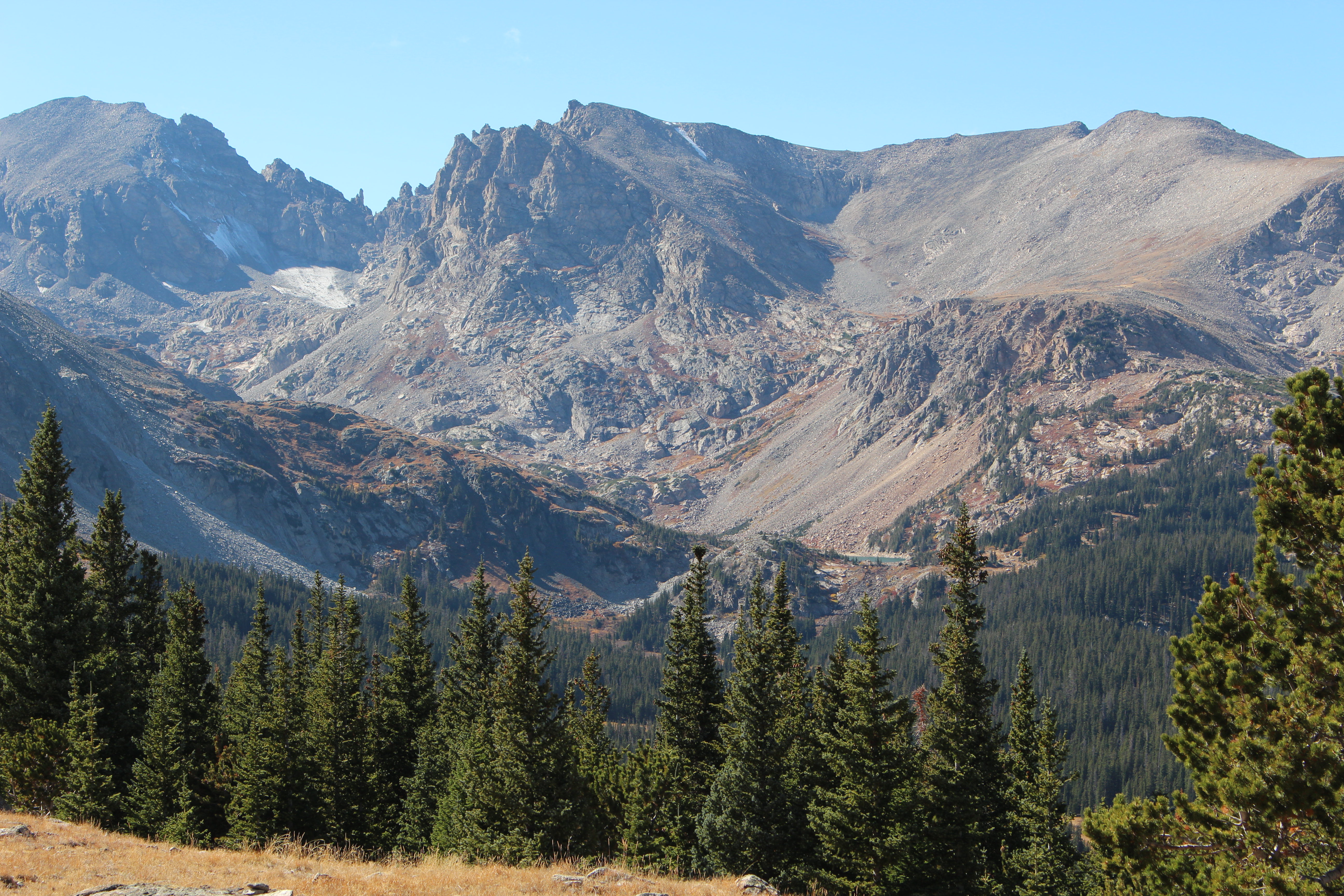 Macro and Micro Picture of the Day 2021-10-08