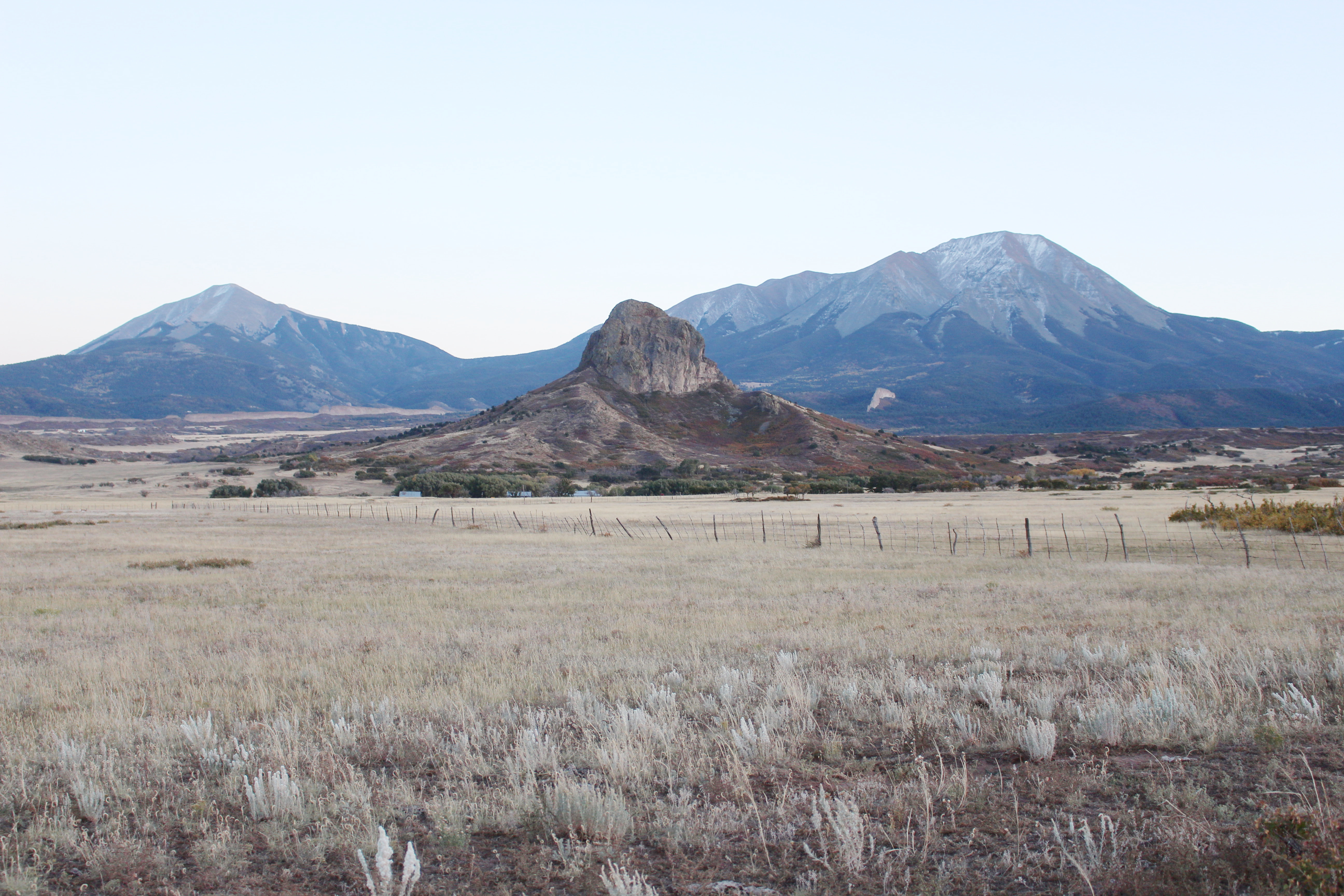 Macro and Micro Picture of the Day 2021-10-28