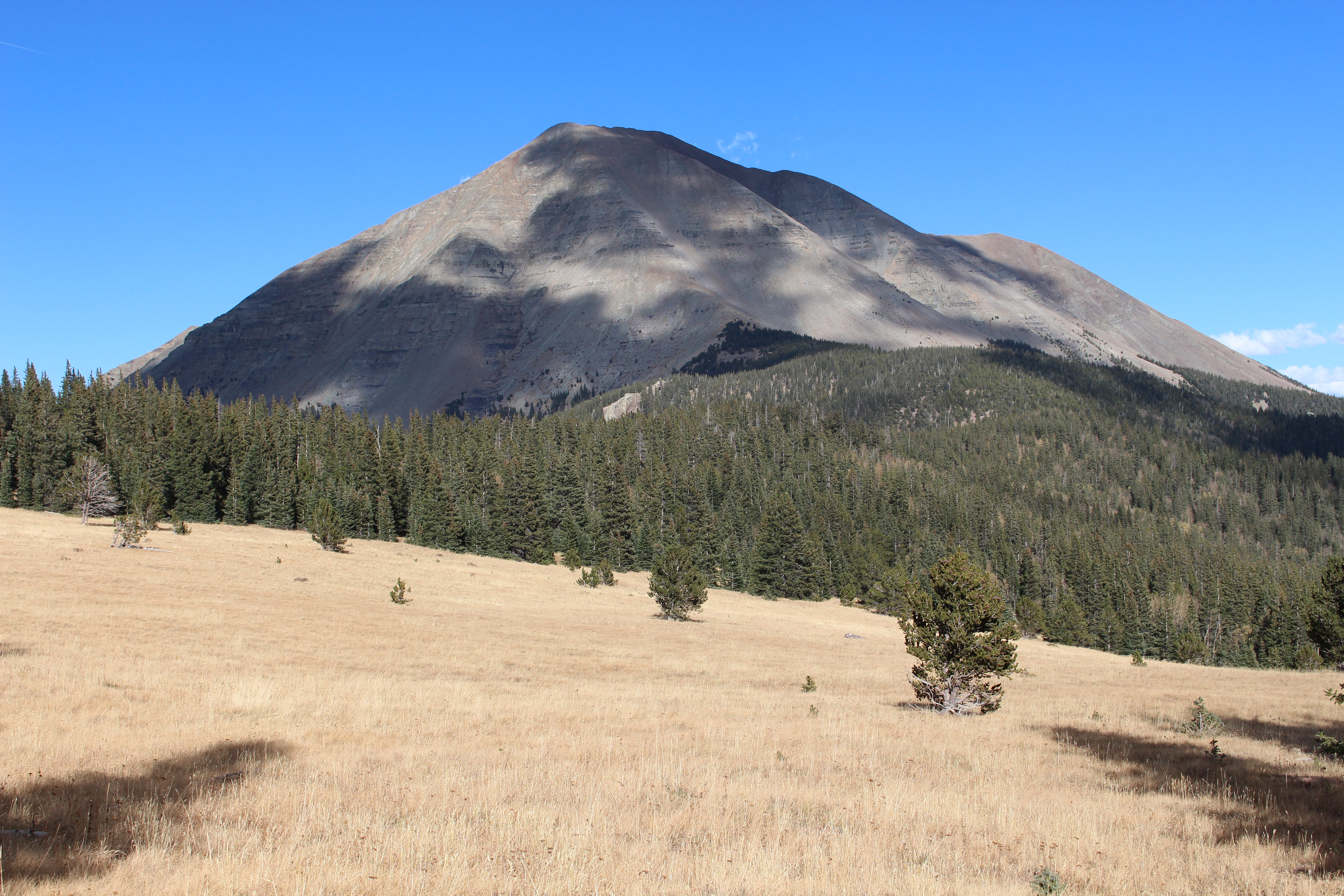 Macro and Micro Picture of the Day 2021-11-05