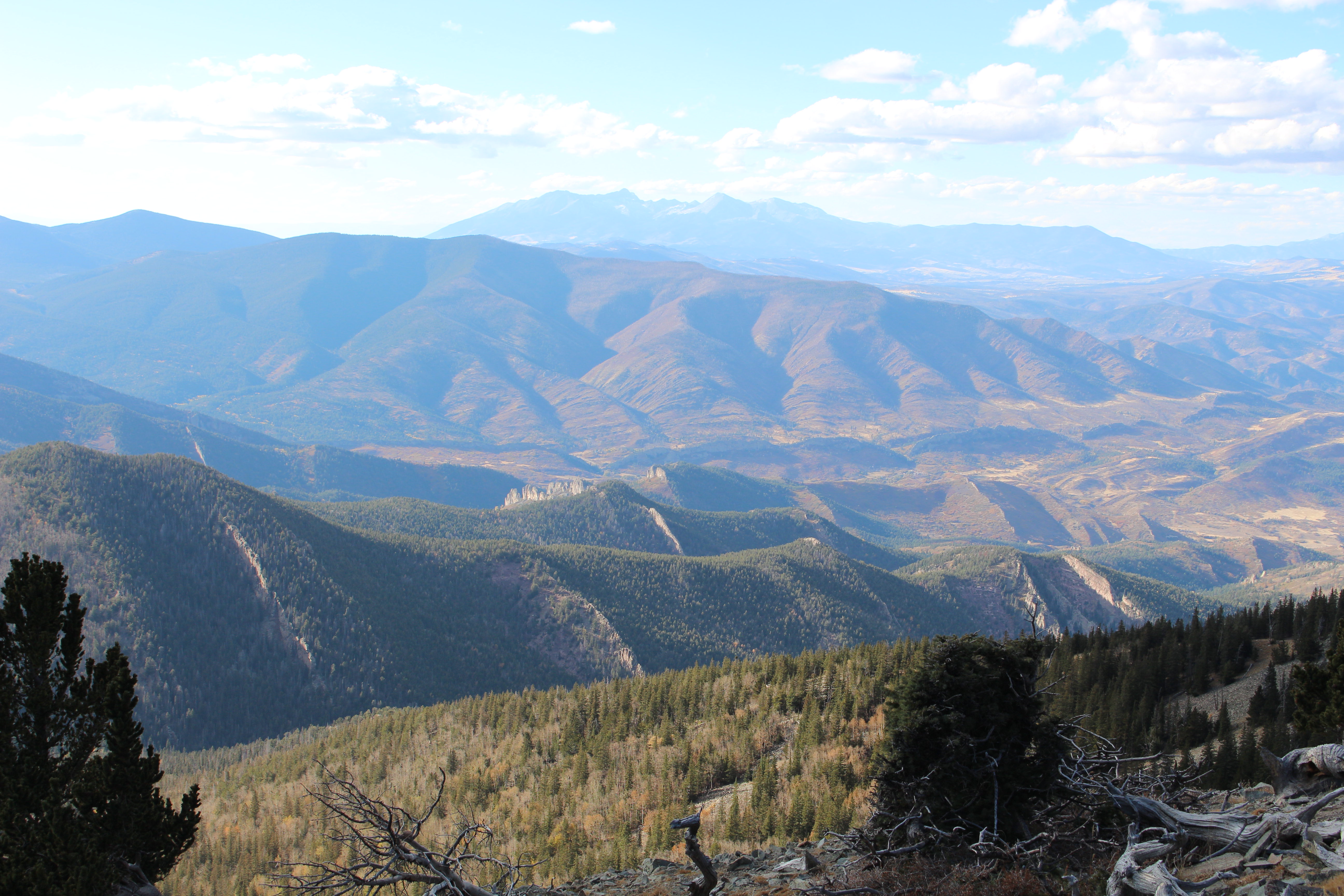 Macro and Micro Picture of the Day 2021-11-09