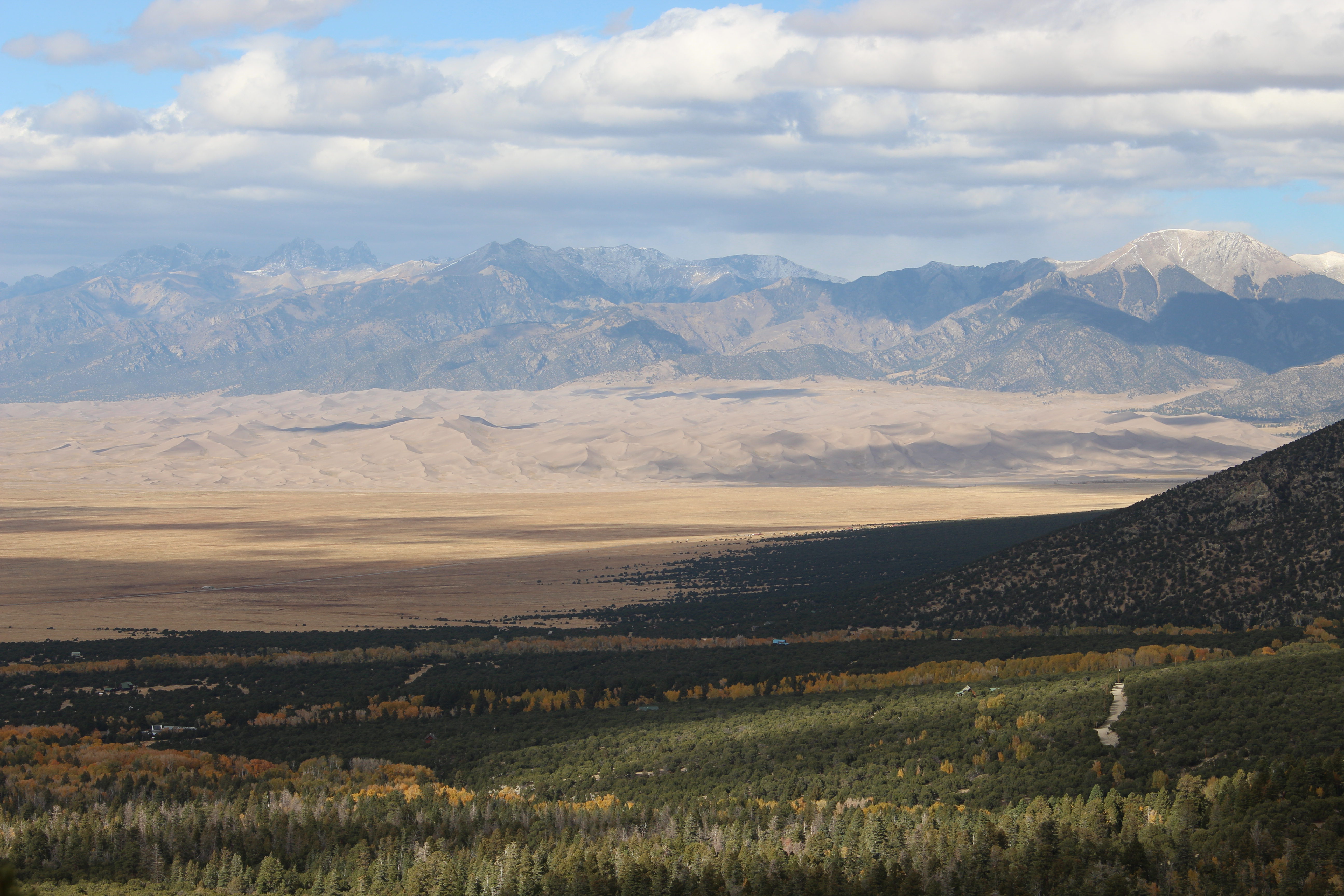 Macro and Micro Picture of the Day 2021-11-13