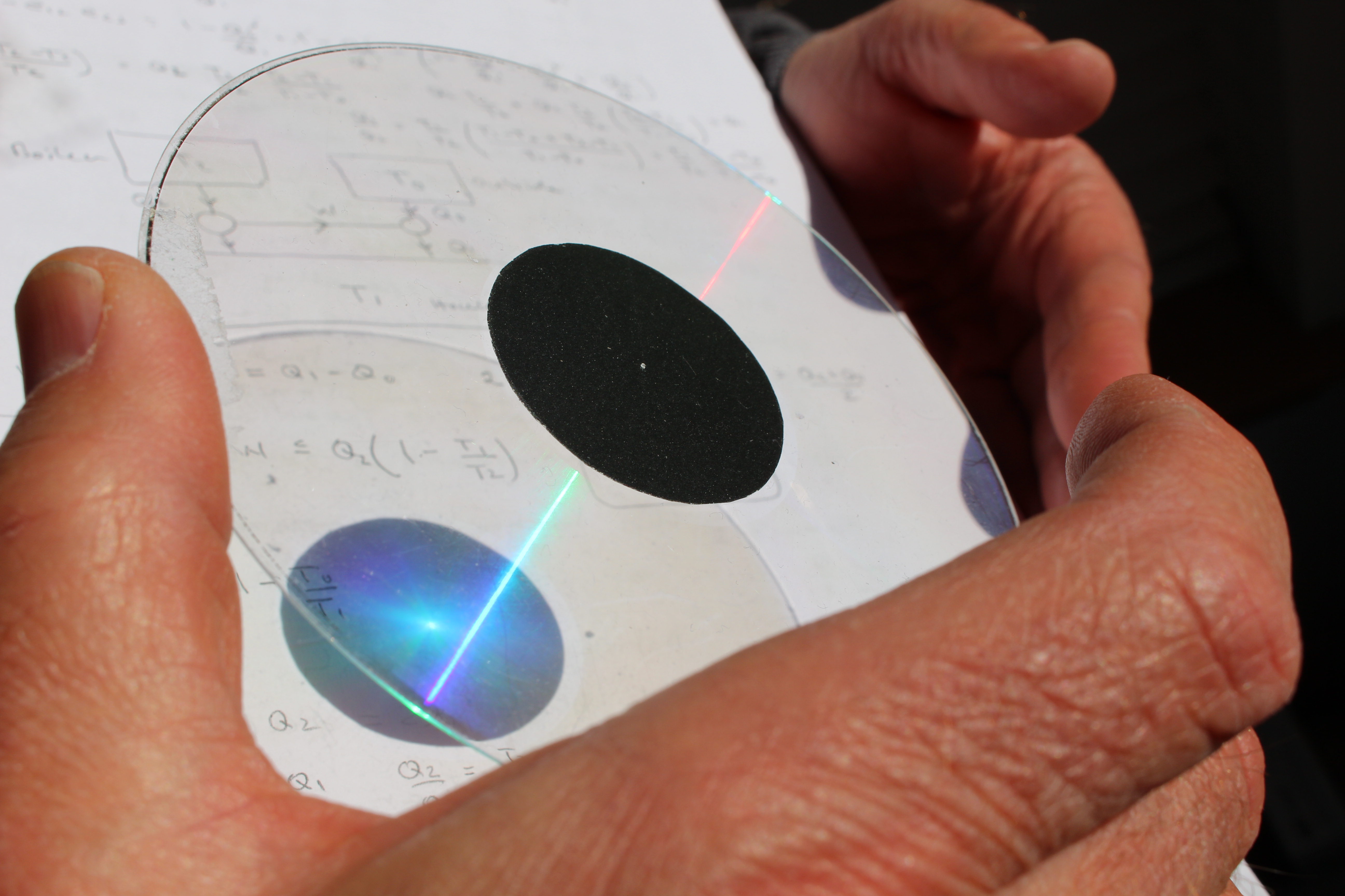 Macro and Micro Picture of the Day 2021-11-29