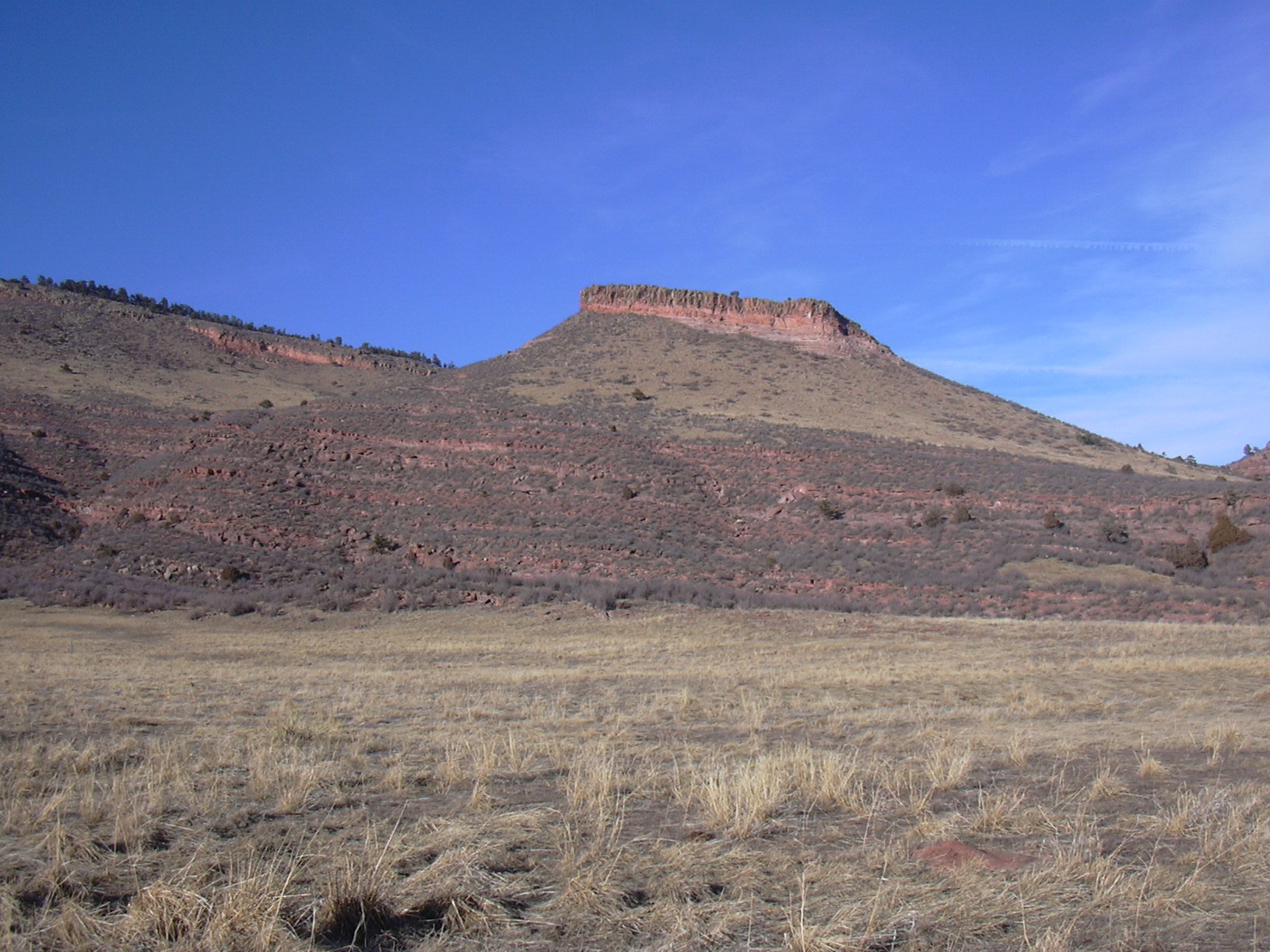 Macro and Micro Picture of the Day 2022-01-02