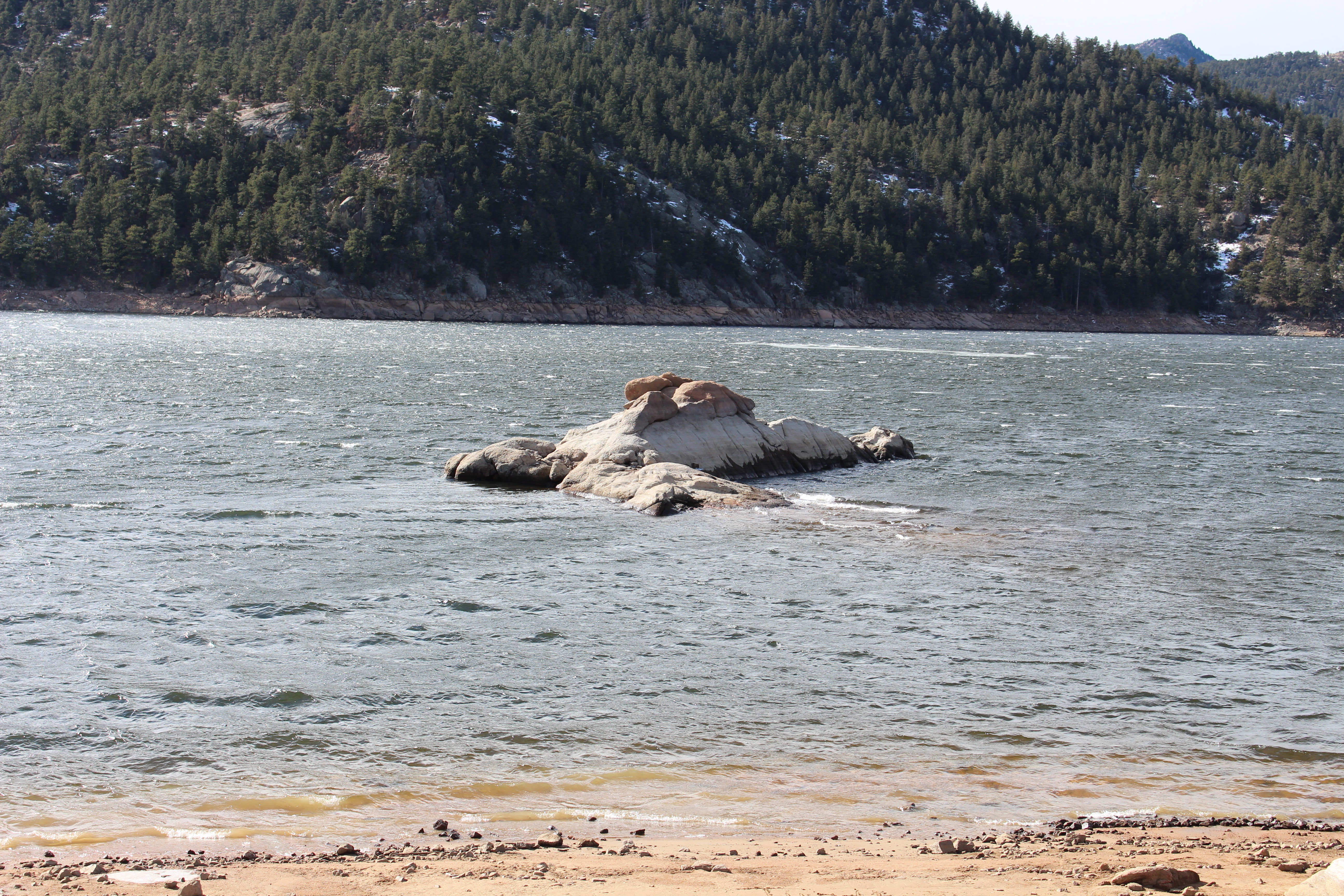 Macro and Micro Picture of the Day 2022-01-30